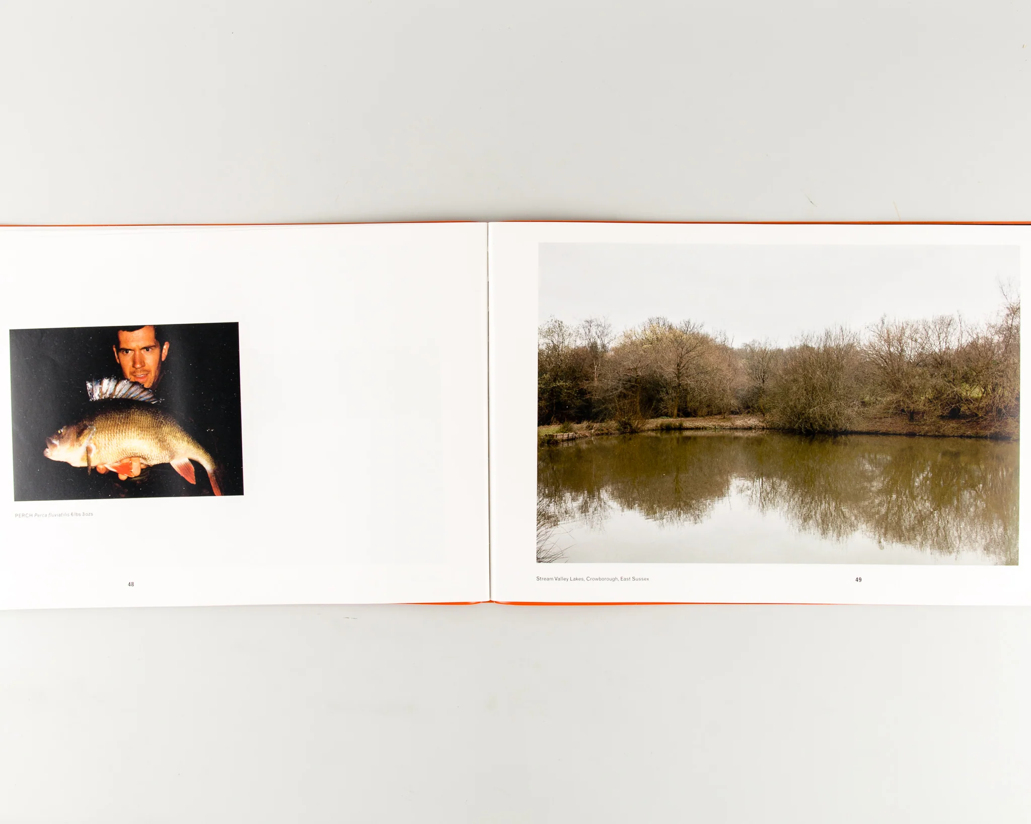 British Record Fish - Image 5