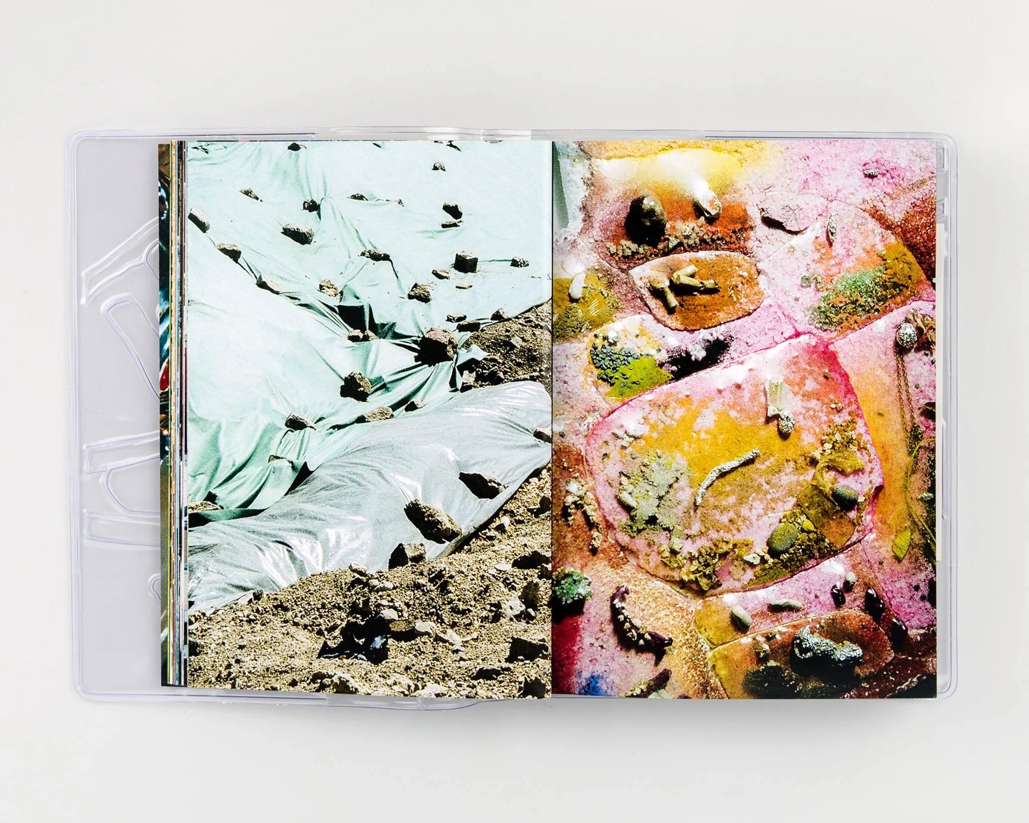 Bruises - Image 4