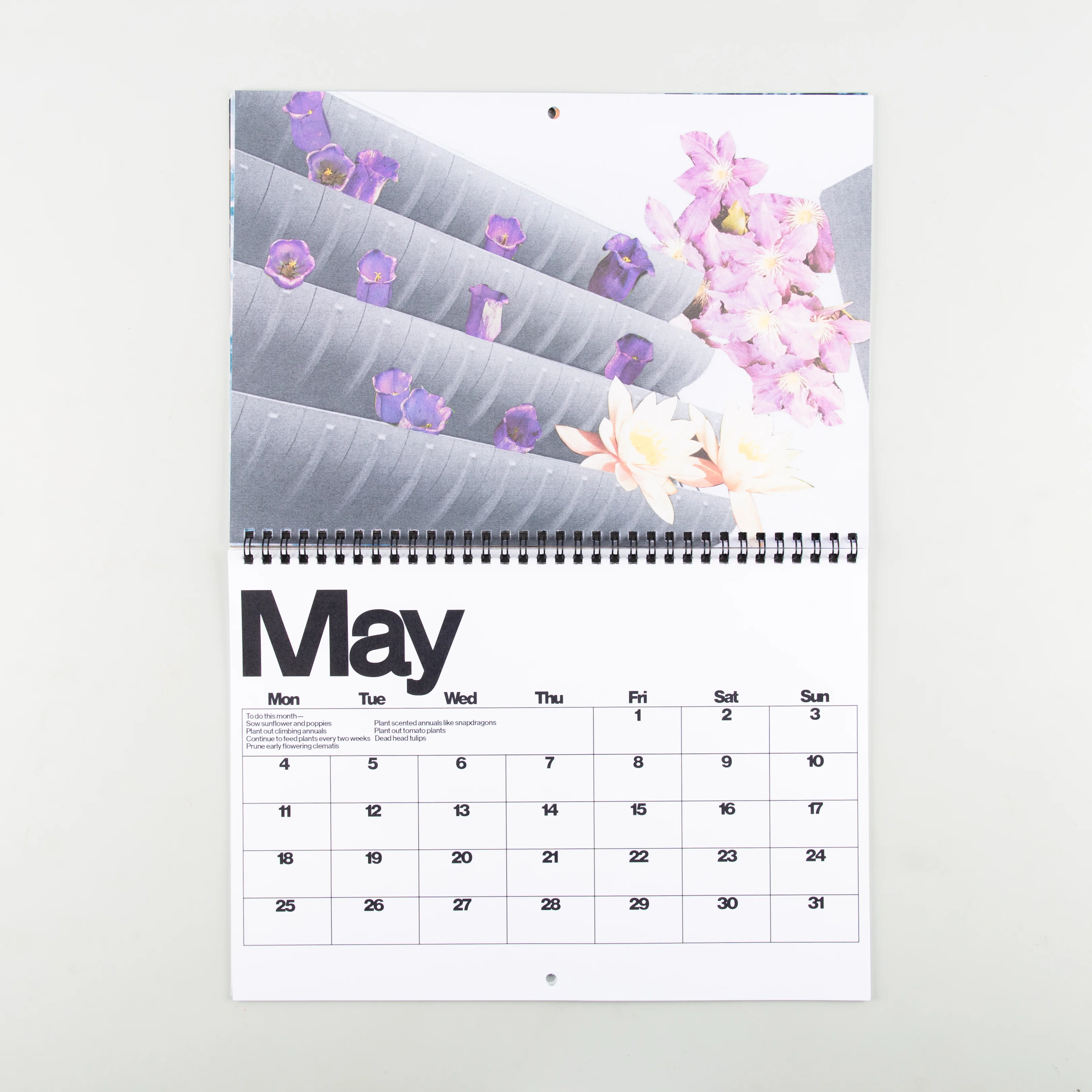 Brutalist Botany 2026 Calendar - Image 2