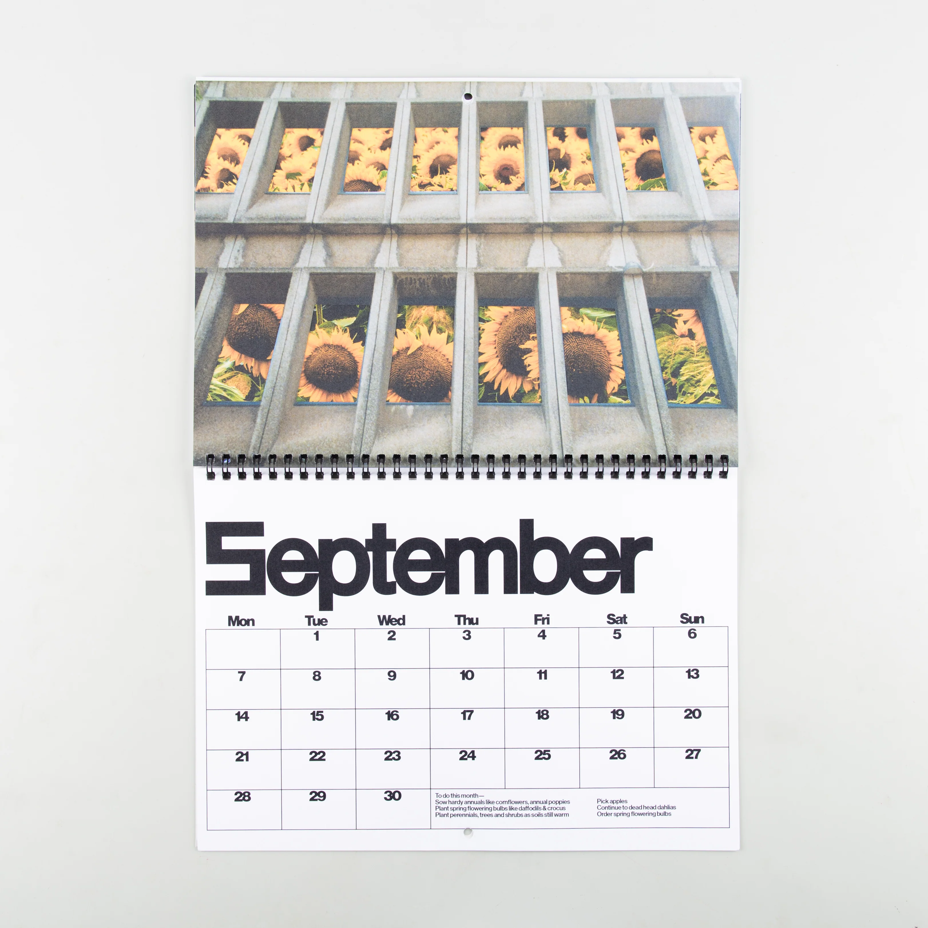 Brutalist Botany 2026 Calendar - Image 3