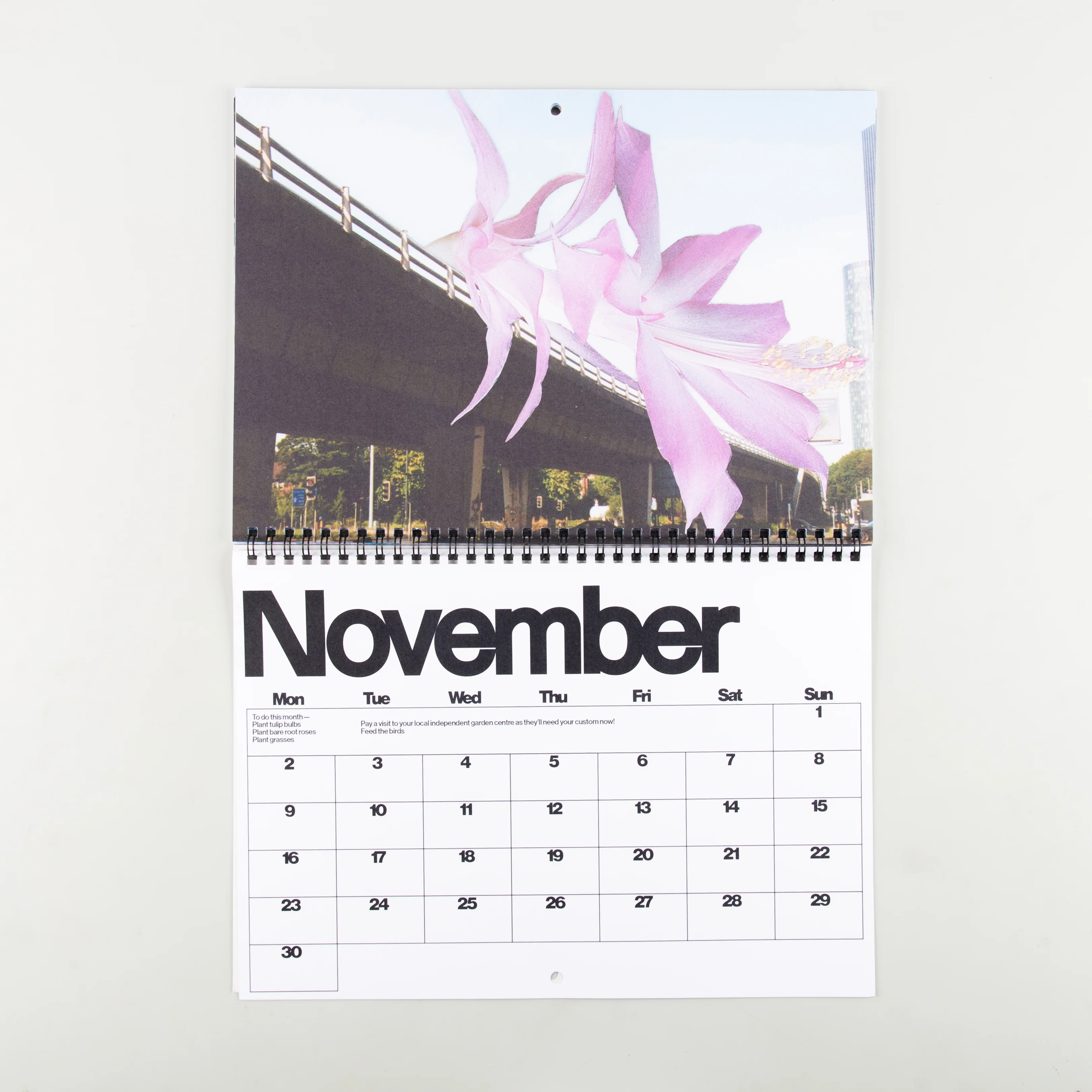 Brutalist Botany 2026 Calendar - Image 4