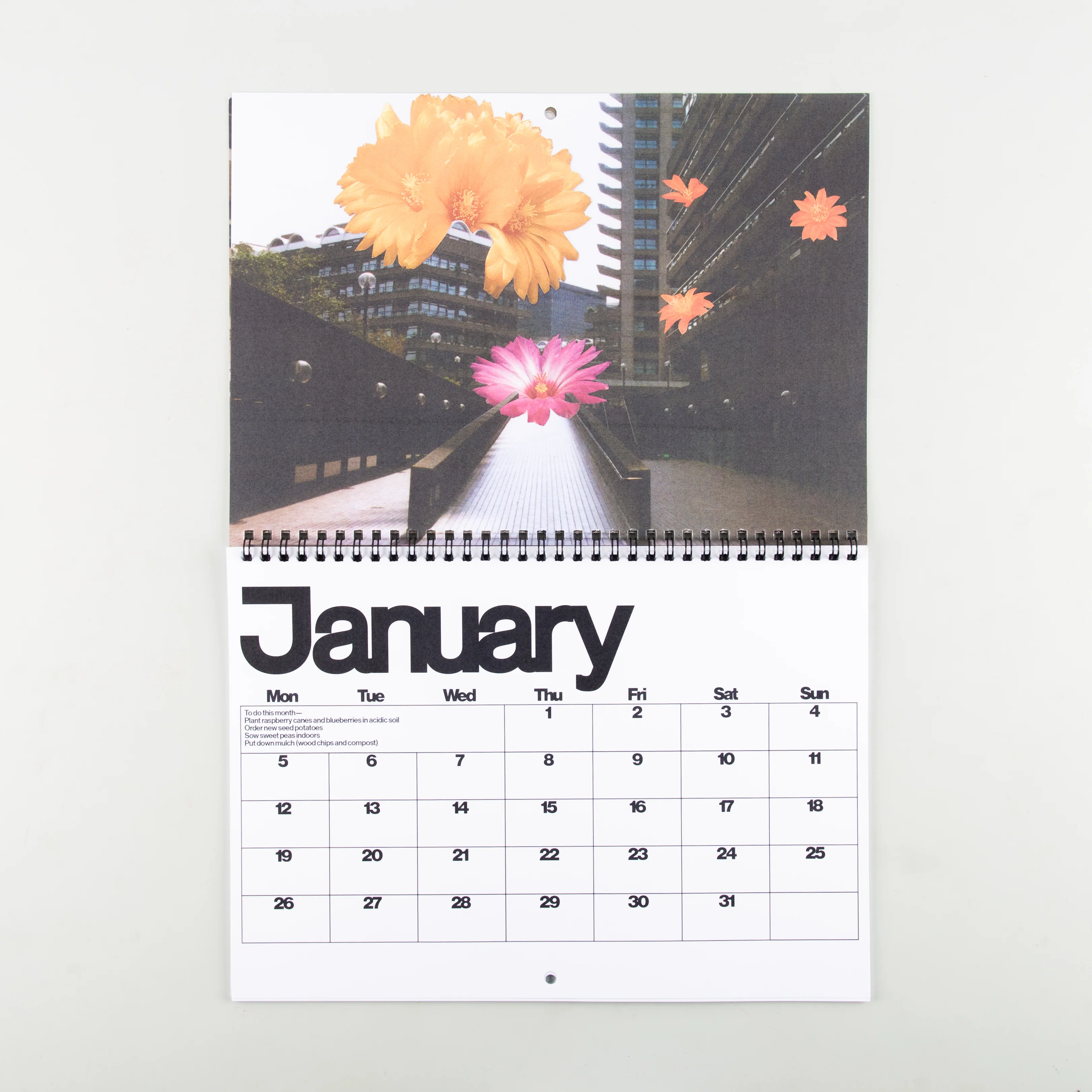 Brutalist Botany 2026 Calendar - Image 5
