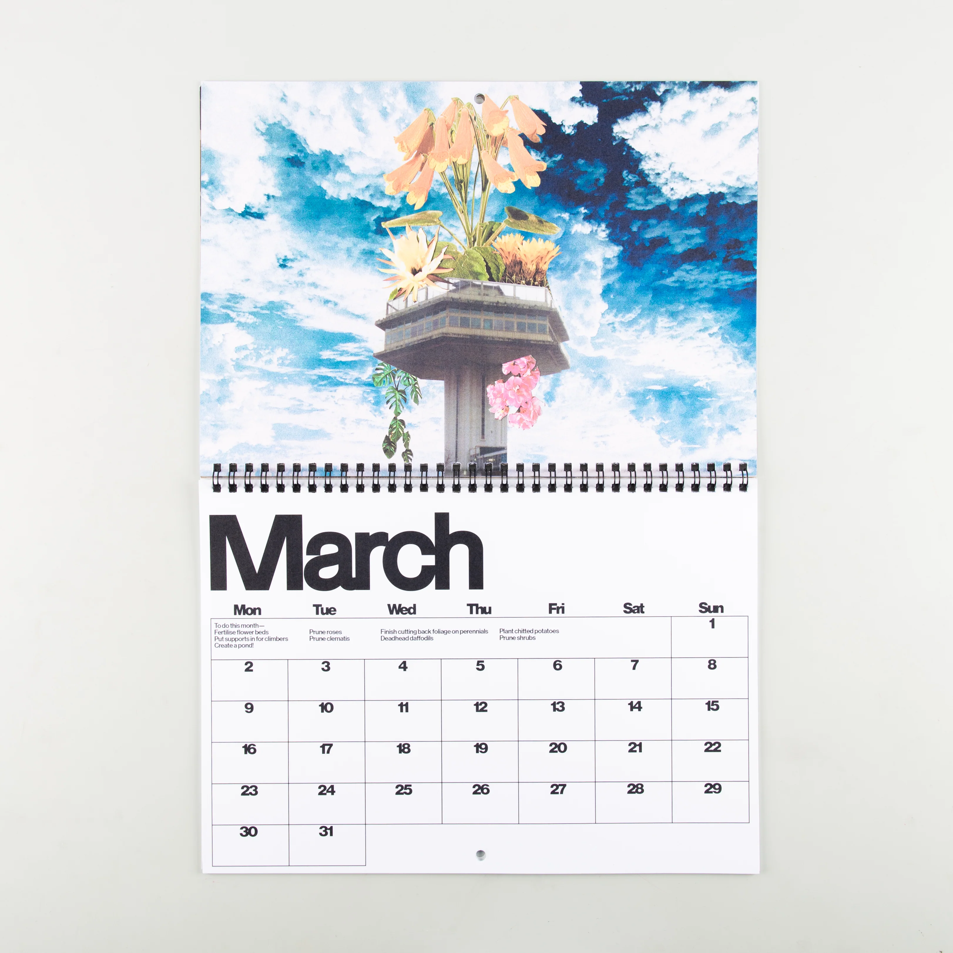Brutalist Botany 2026 Calendar - Image 6