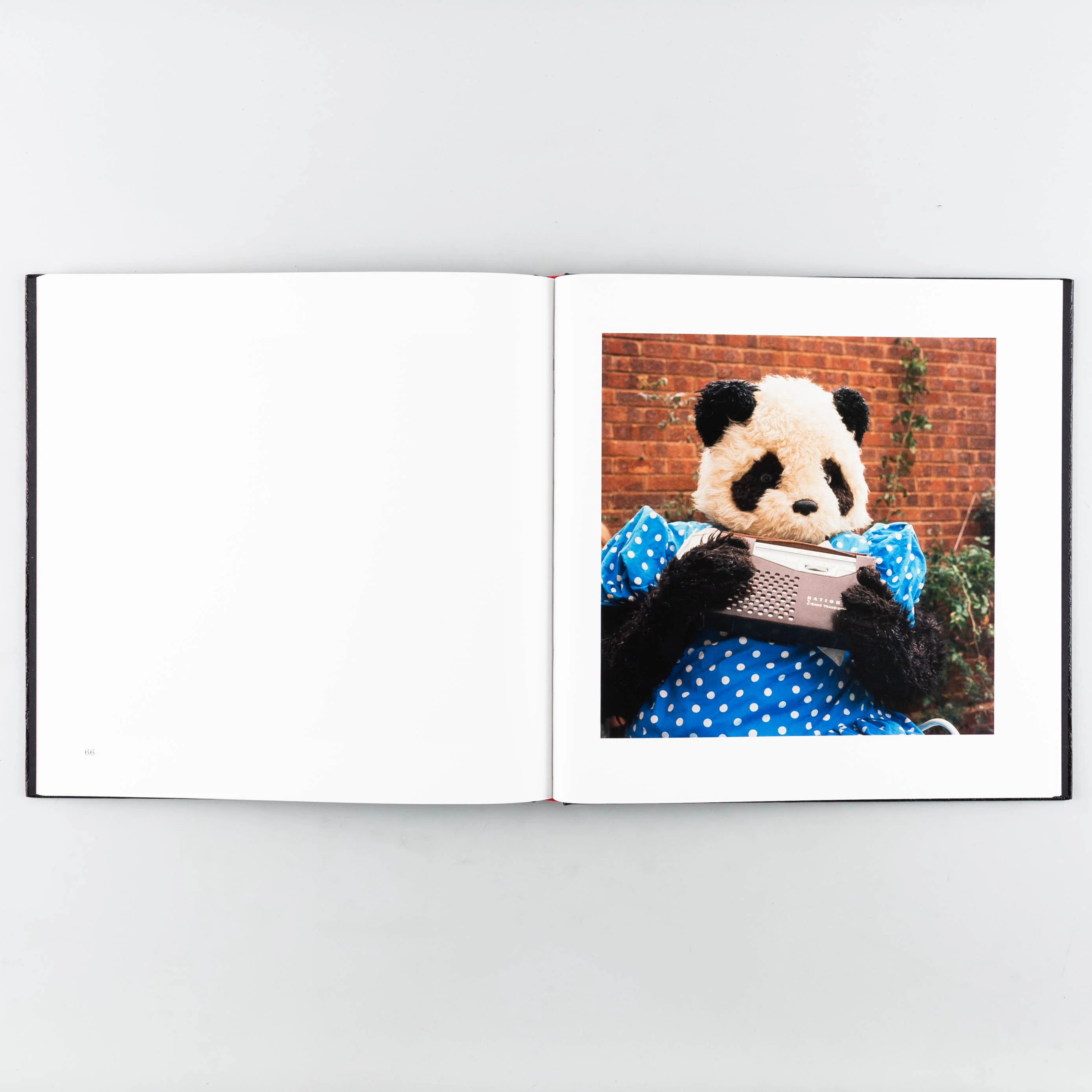 Candy, Andy & The Bearandas - Image 4