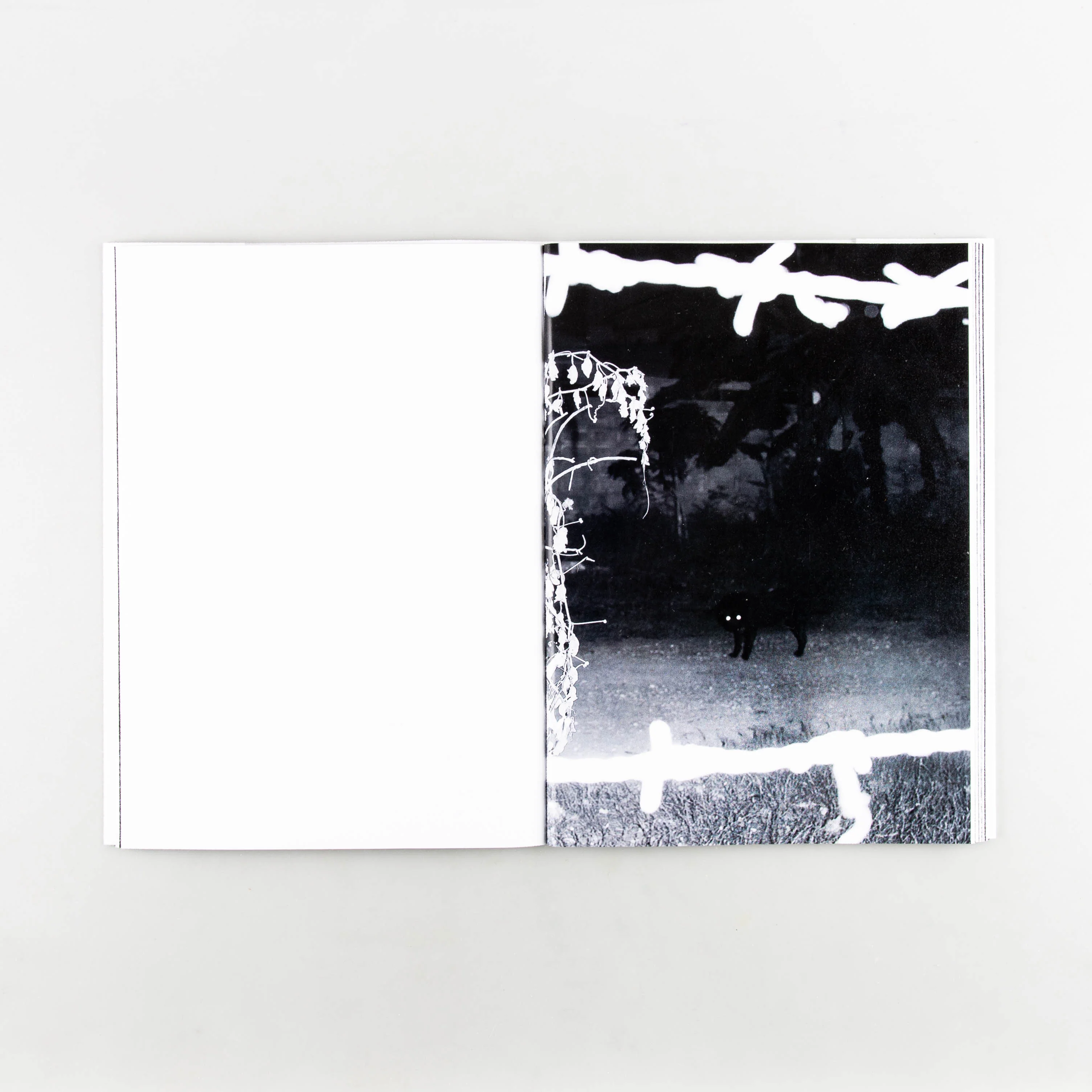 Charred Cell - Image 3