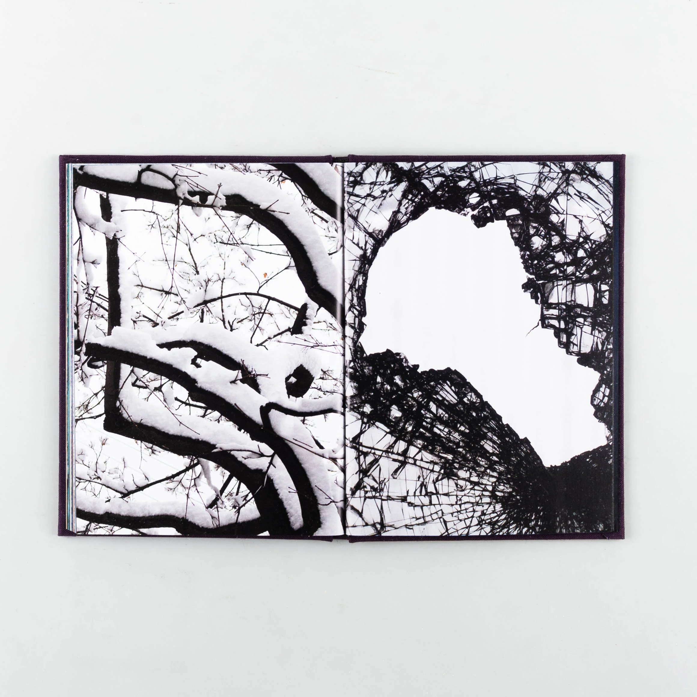 Chiasm - Image 9
