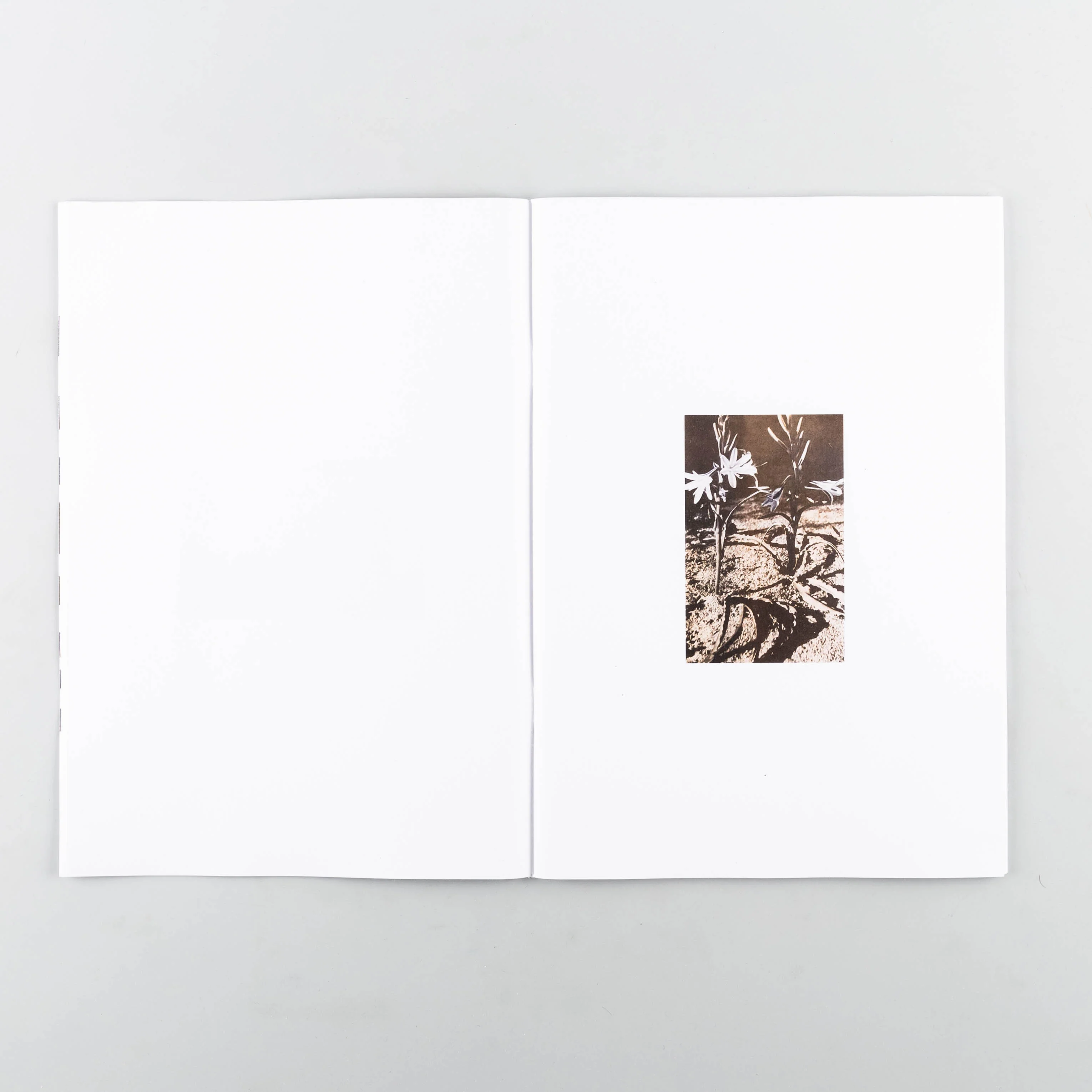 Close Crops of Images From Desert Magazine 40, 41, 60 - Image 3