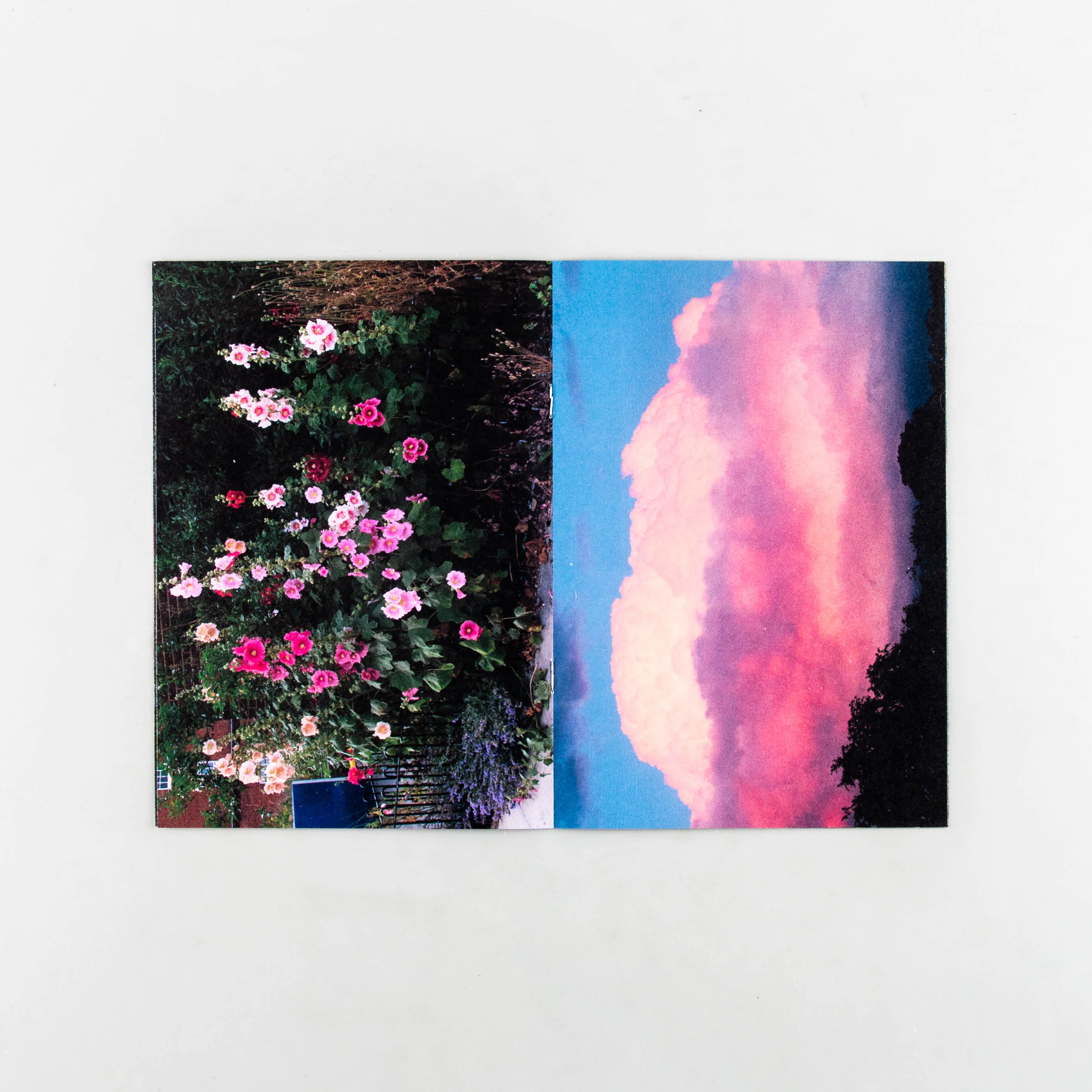 Common Places - Image 3