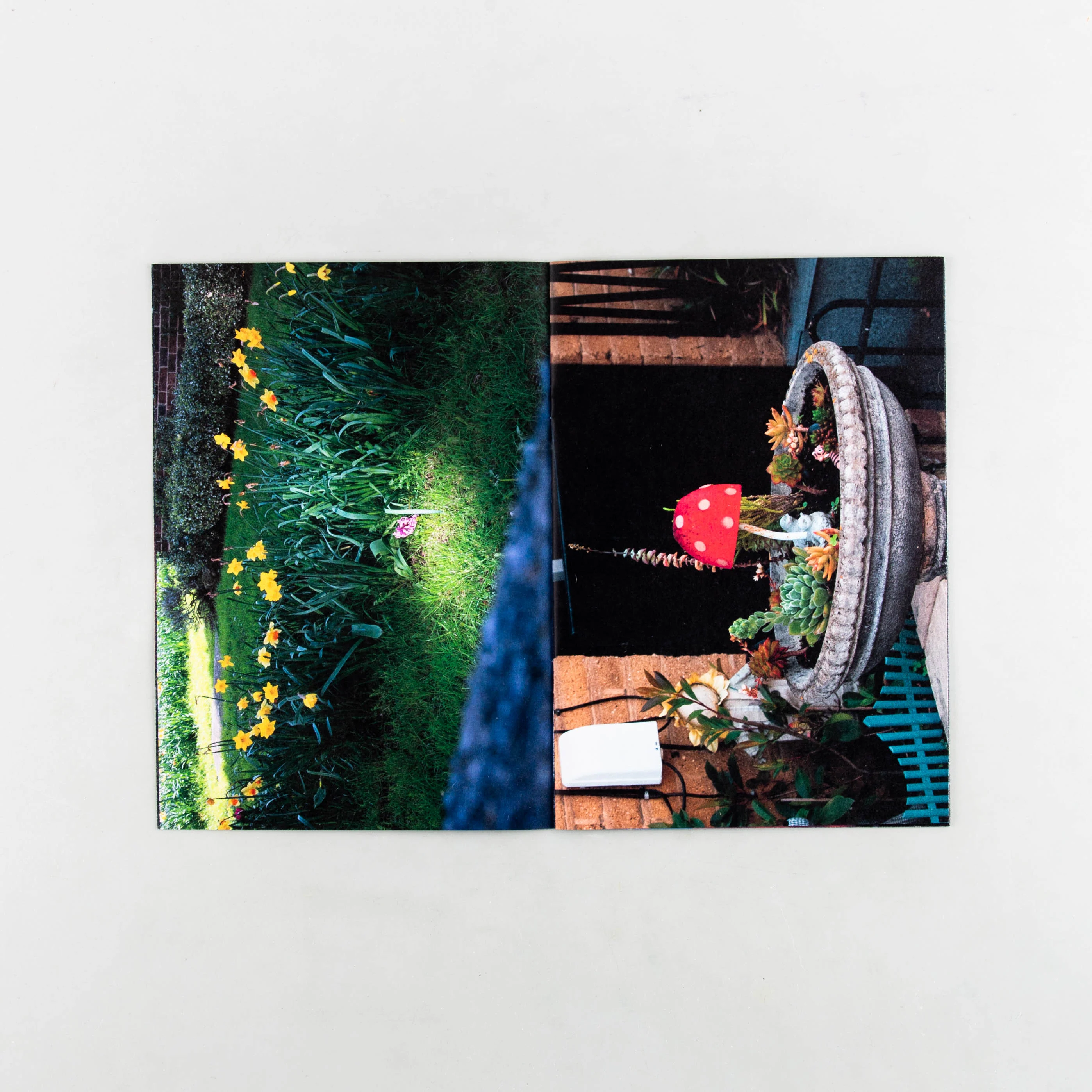 Common Places - Image 4