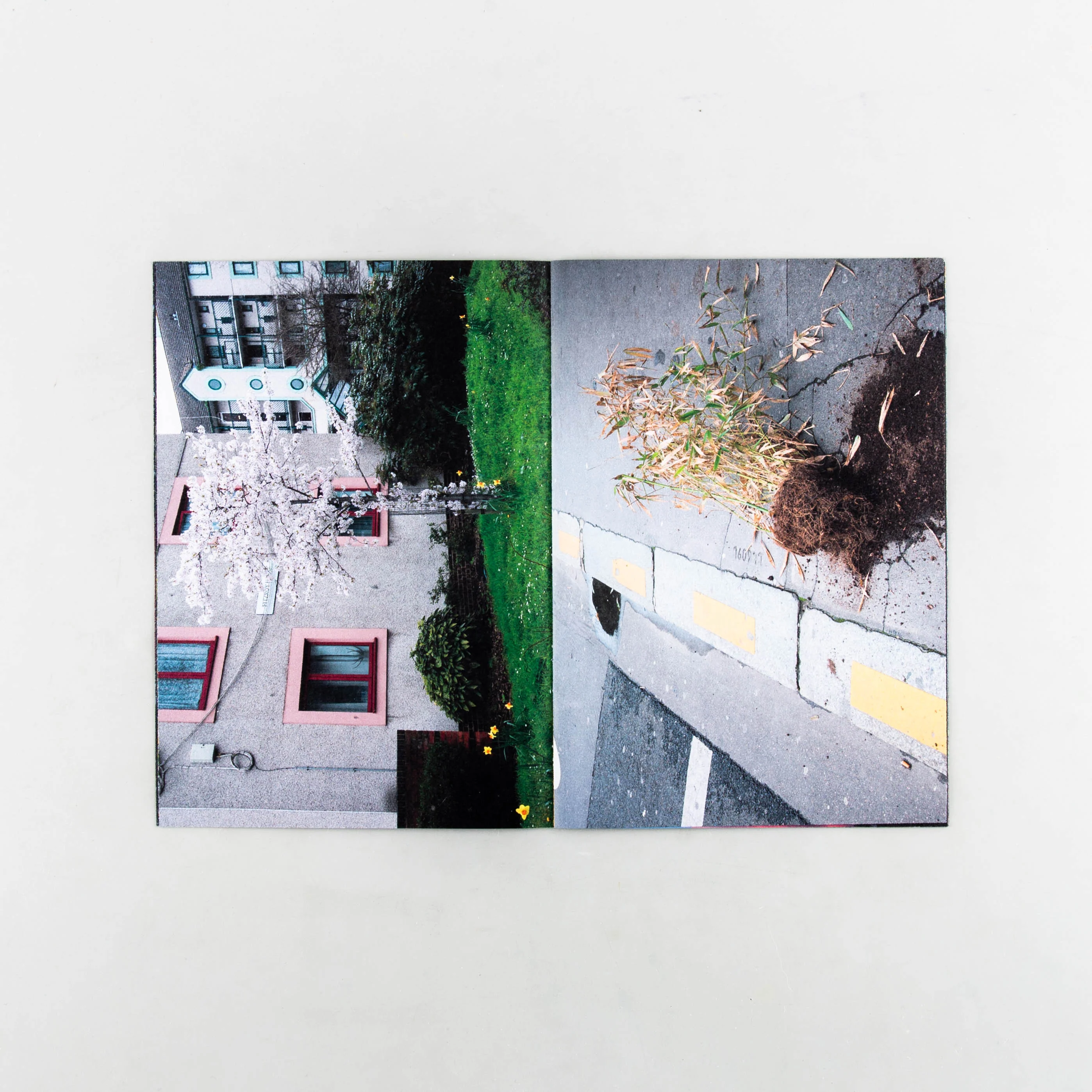 Common Places - Image 5
