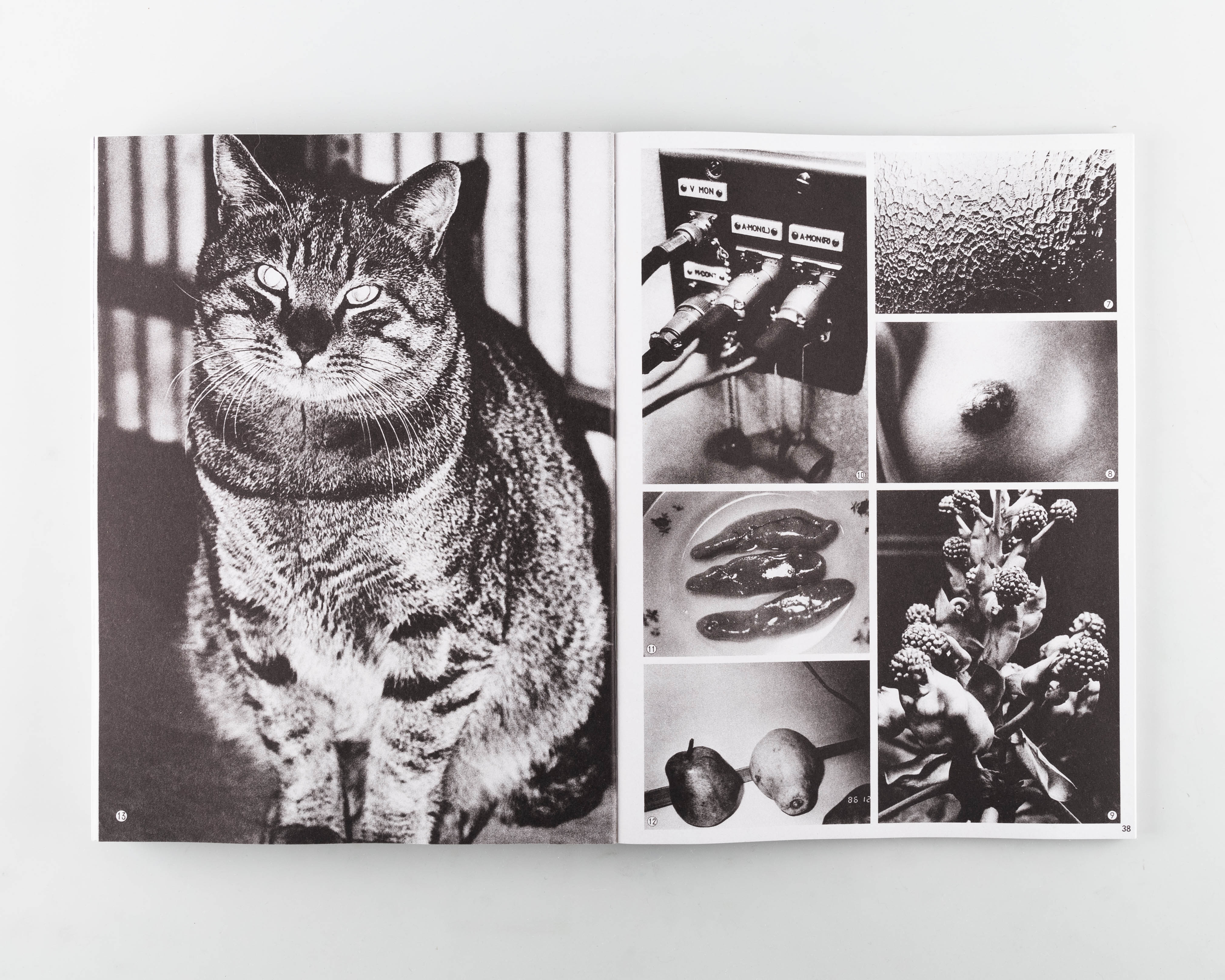 Daido Moriyama Shashin Jidai 1981–1988 - Image 5