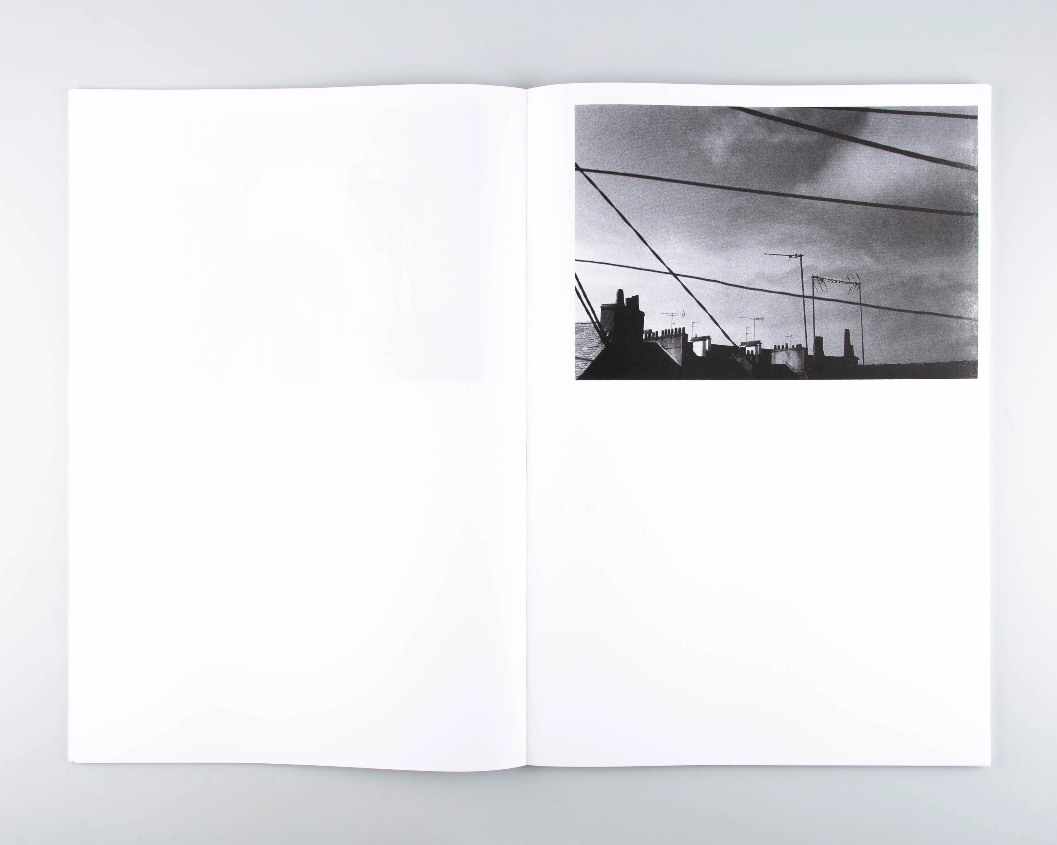 Corpus - Image 4