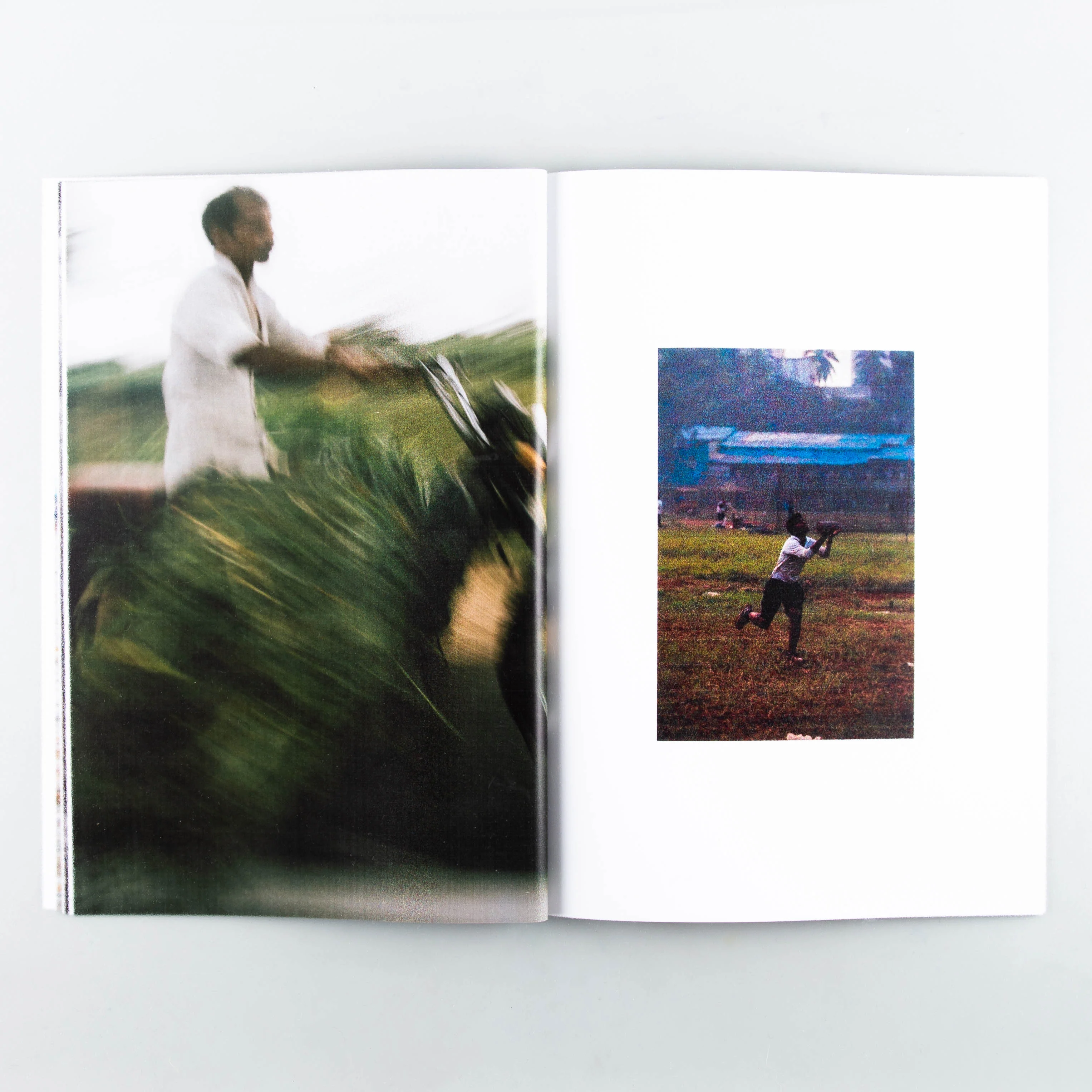 Cow Corner - Image 4
