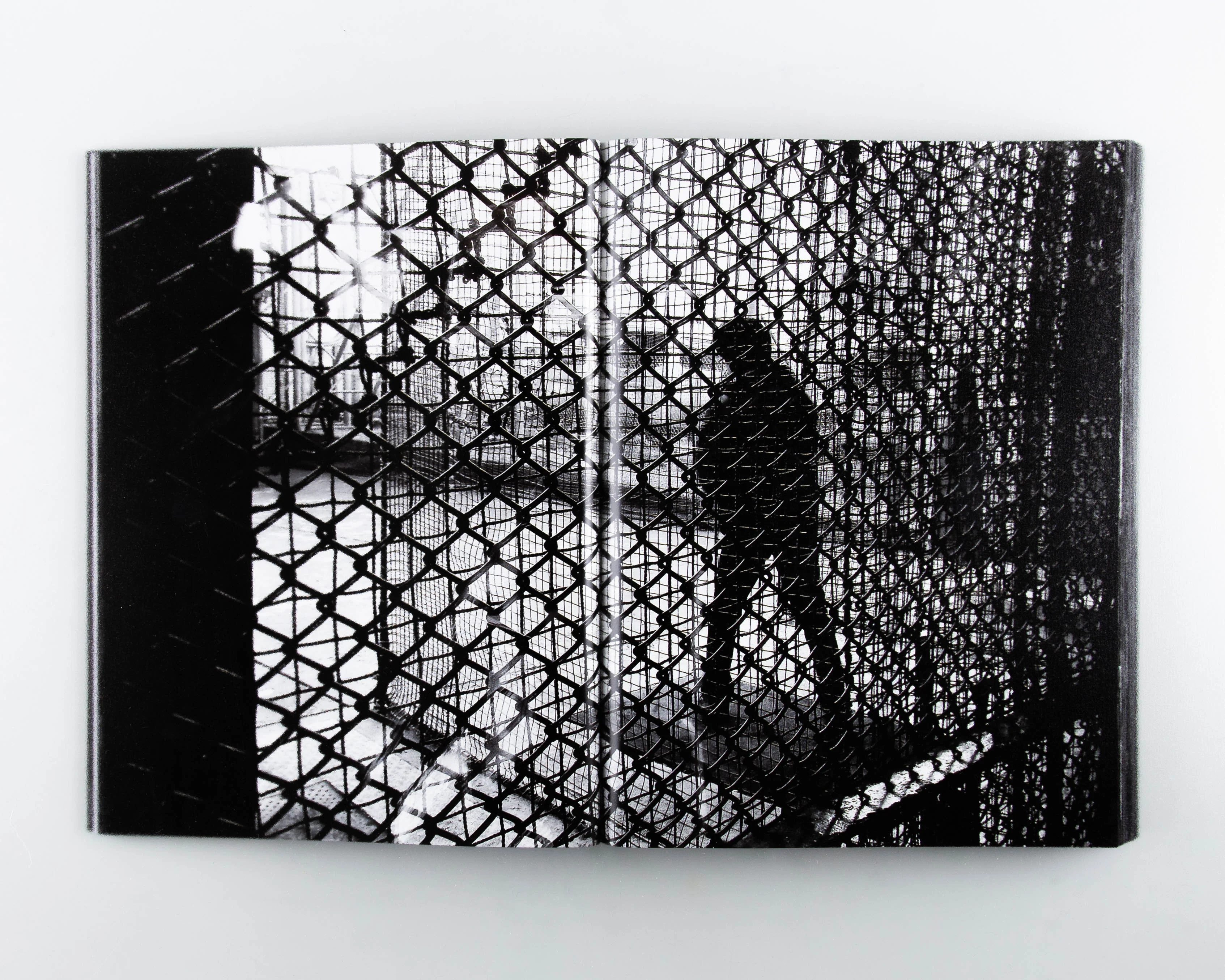 Daido Moriyama: Record 2 - Image 10