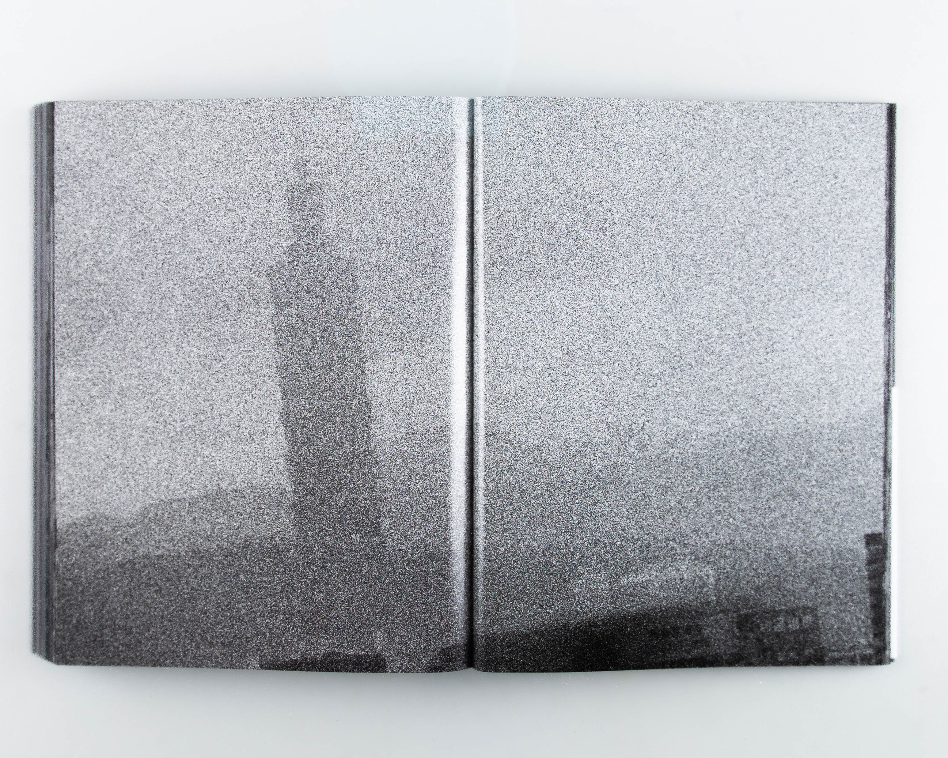 Daido Moriyama: Record - Image 7