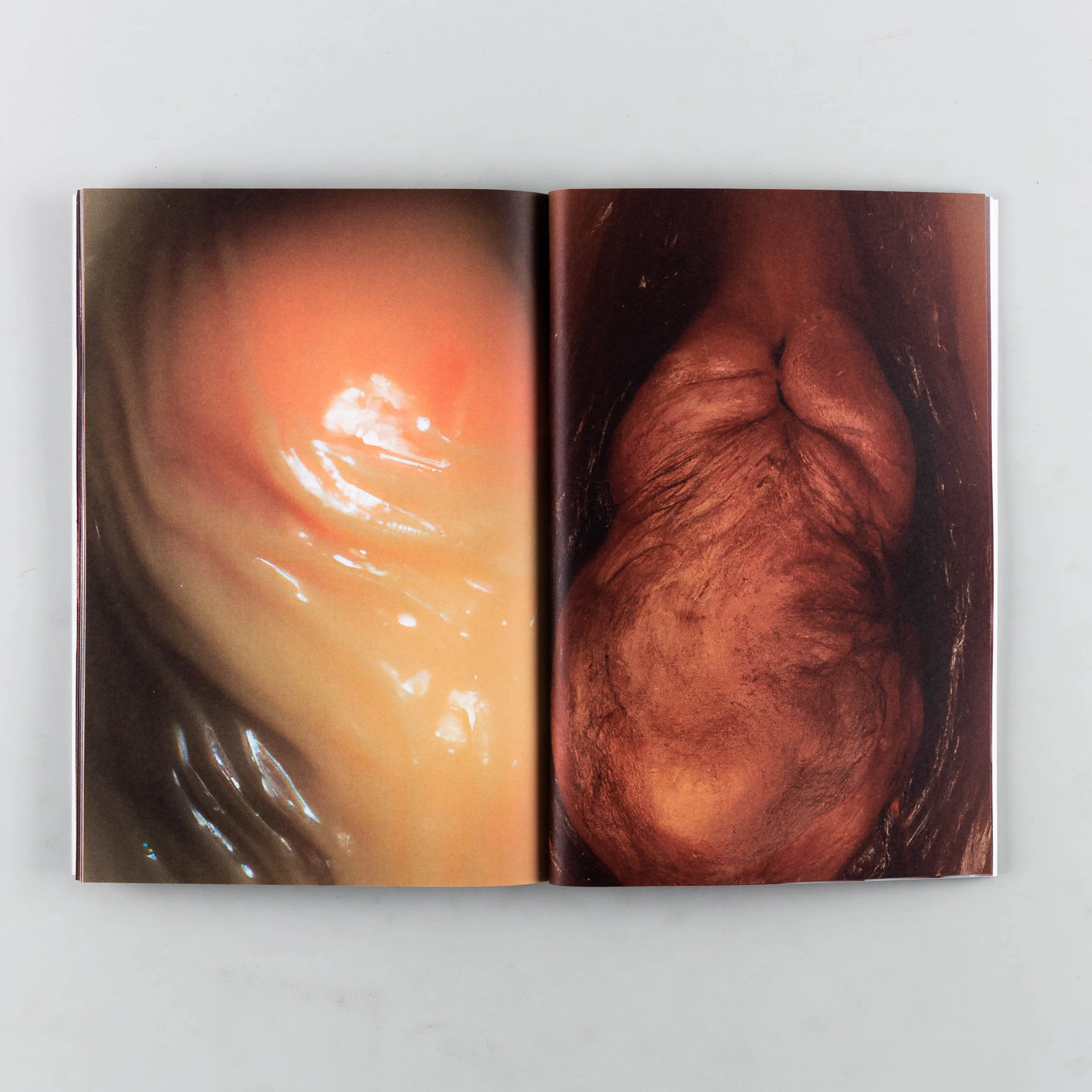 DALL.E_MBRYO - Image 7