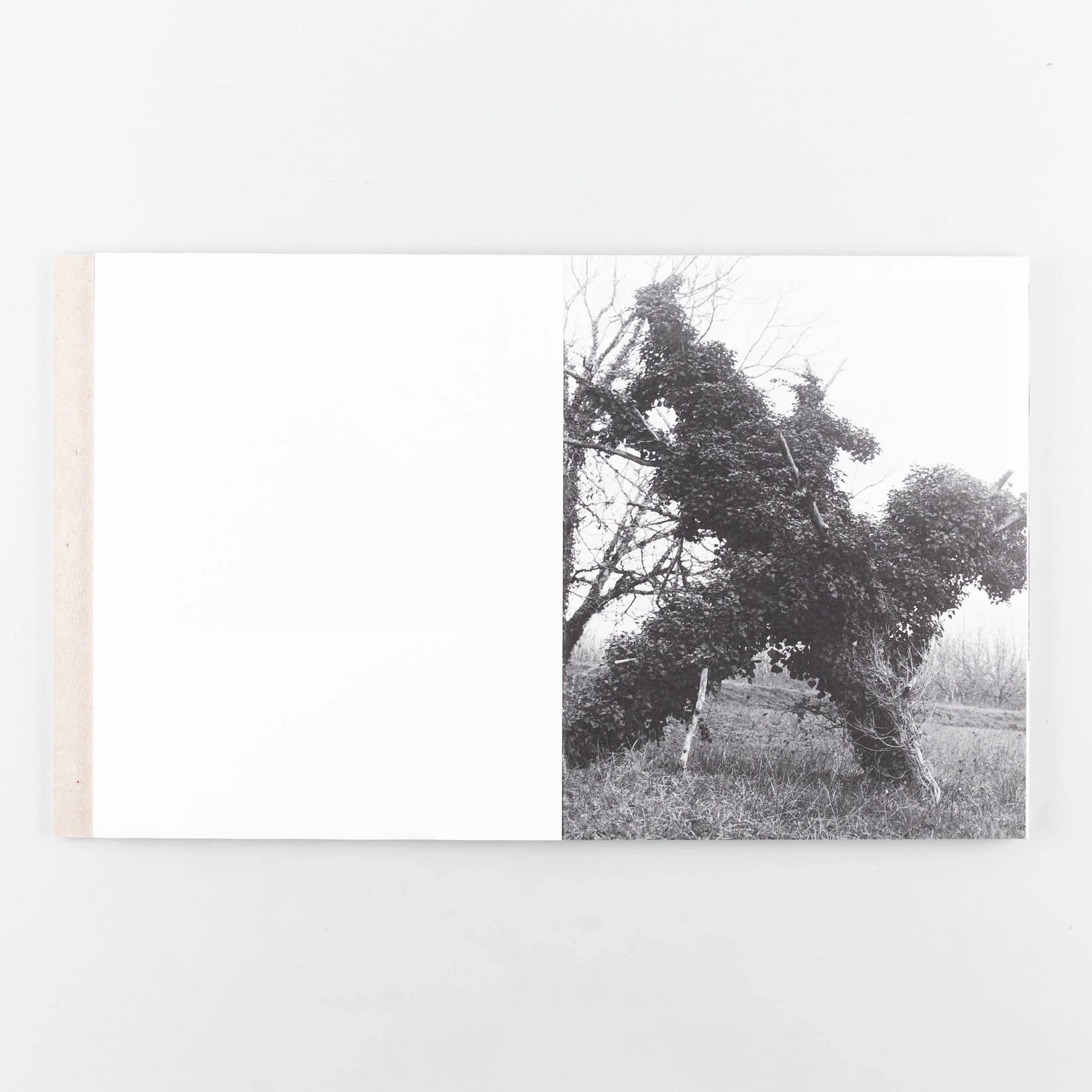 Deadfall - Image 4