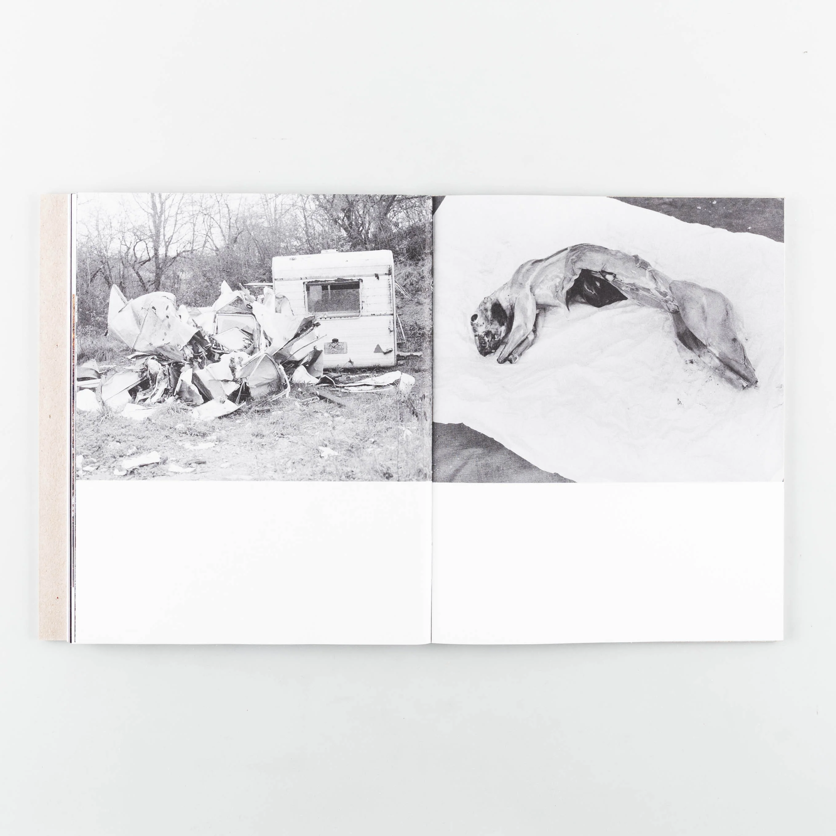 Deadfall - Image 7