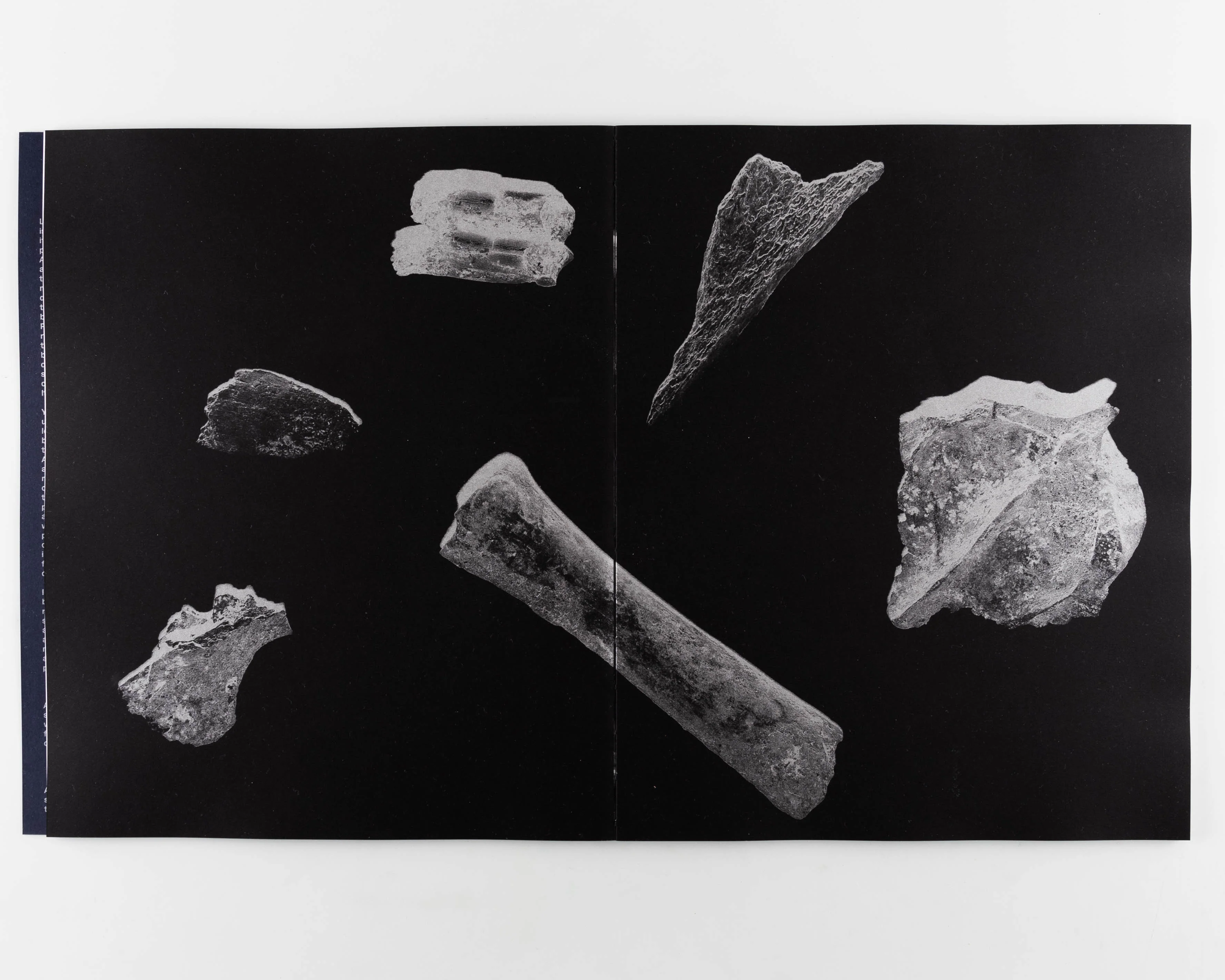 Diachronicles - Image 4