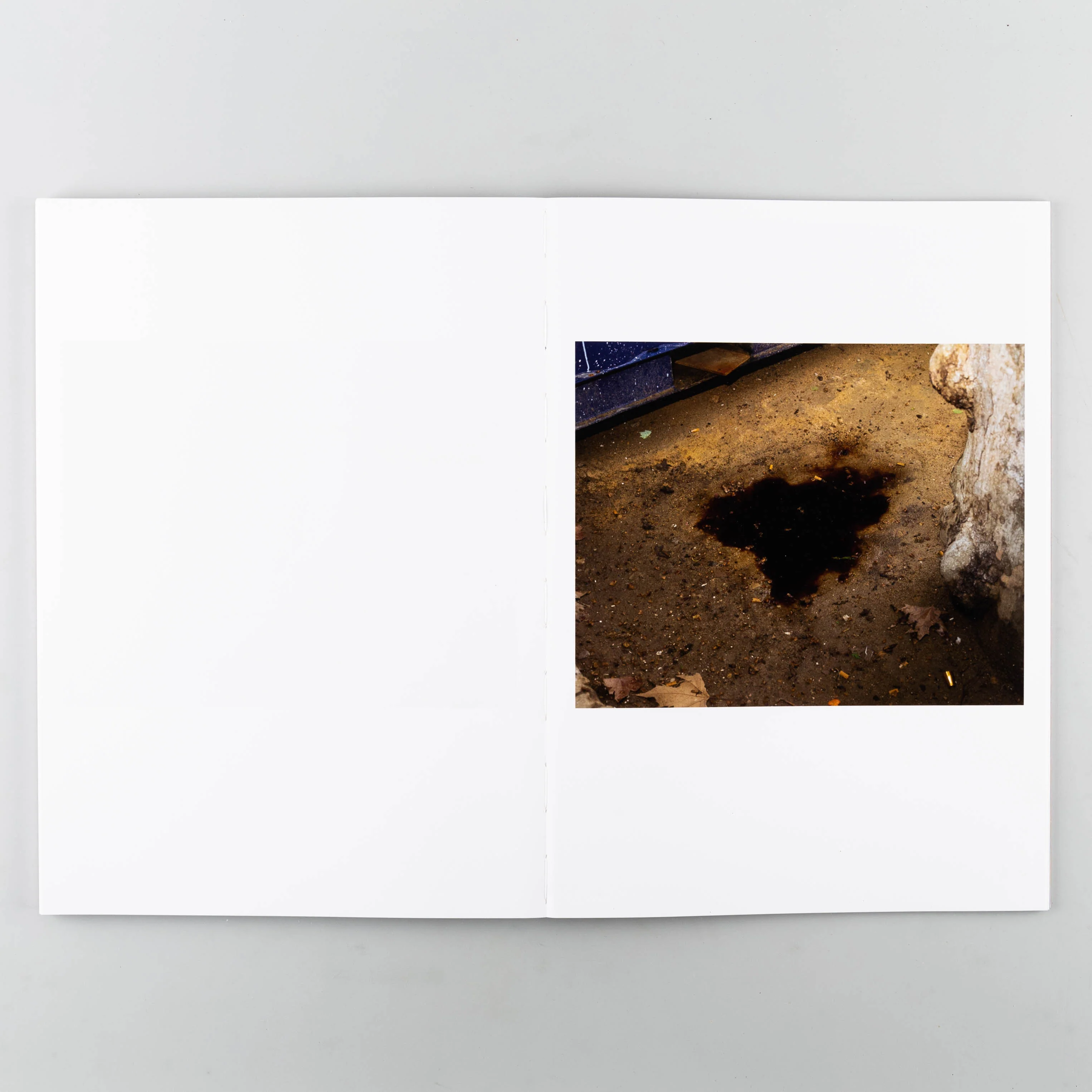 Dialect - Image 3