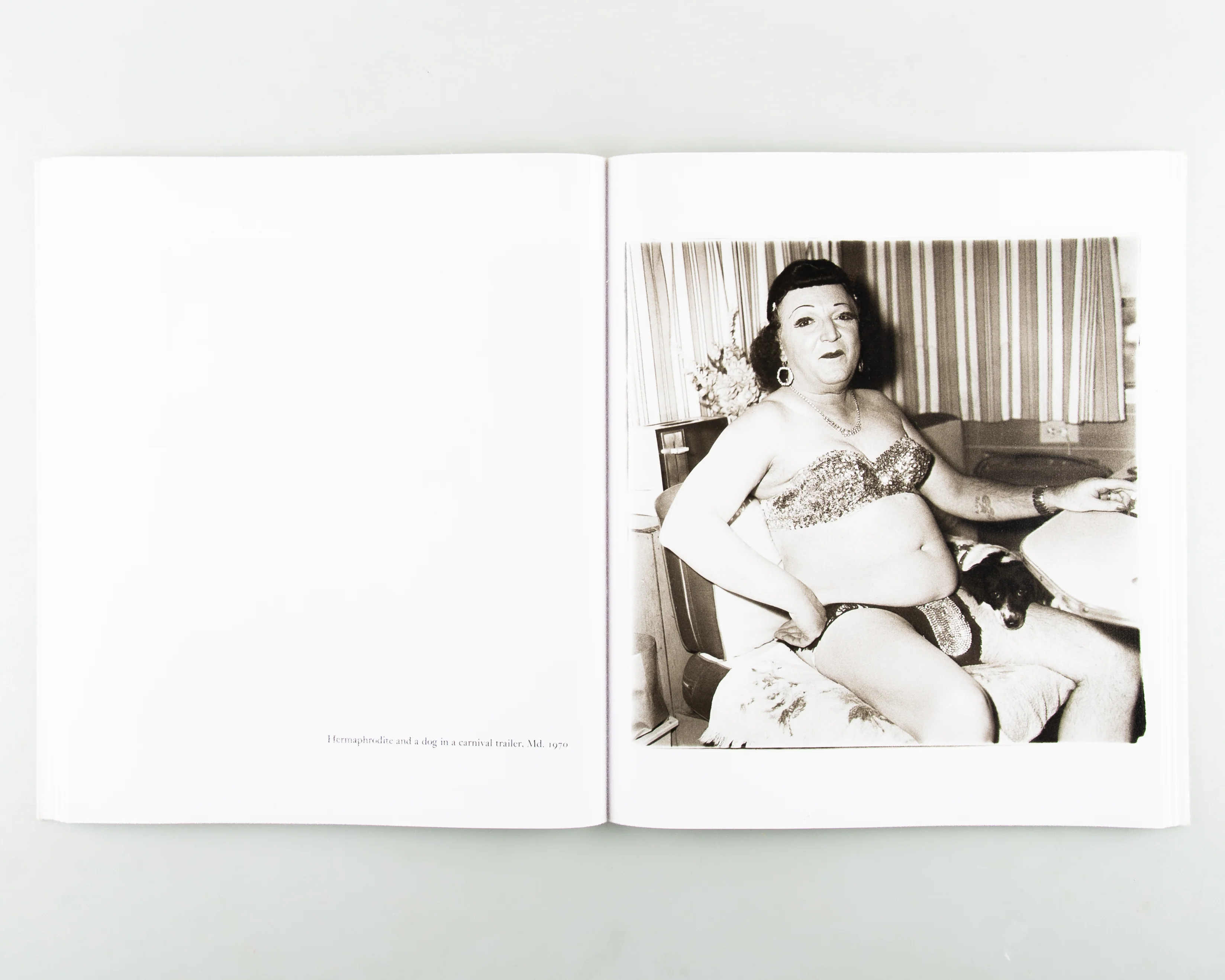 Diane Arbus - Image 5