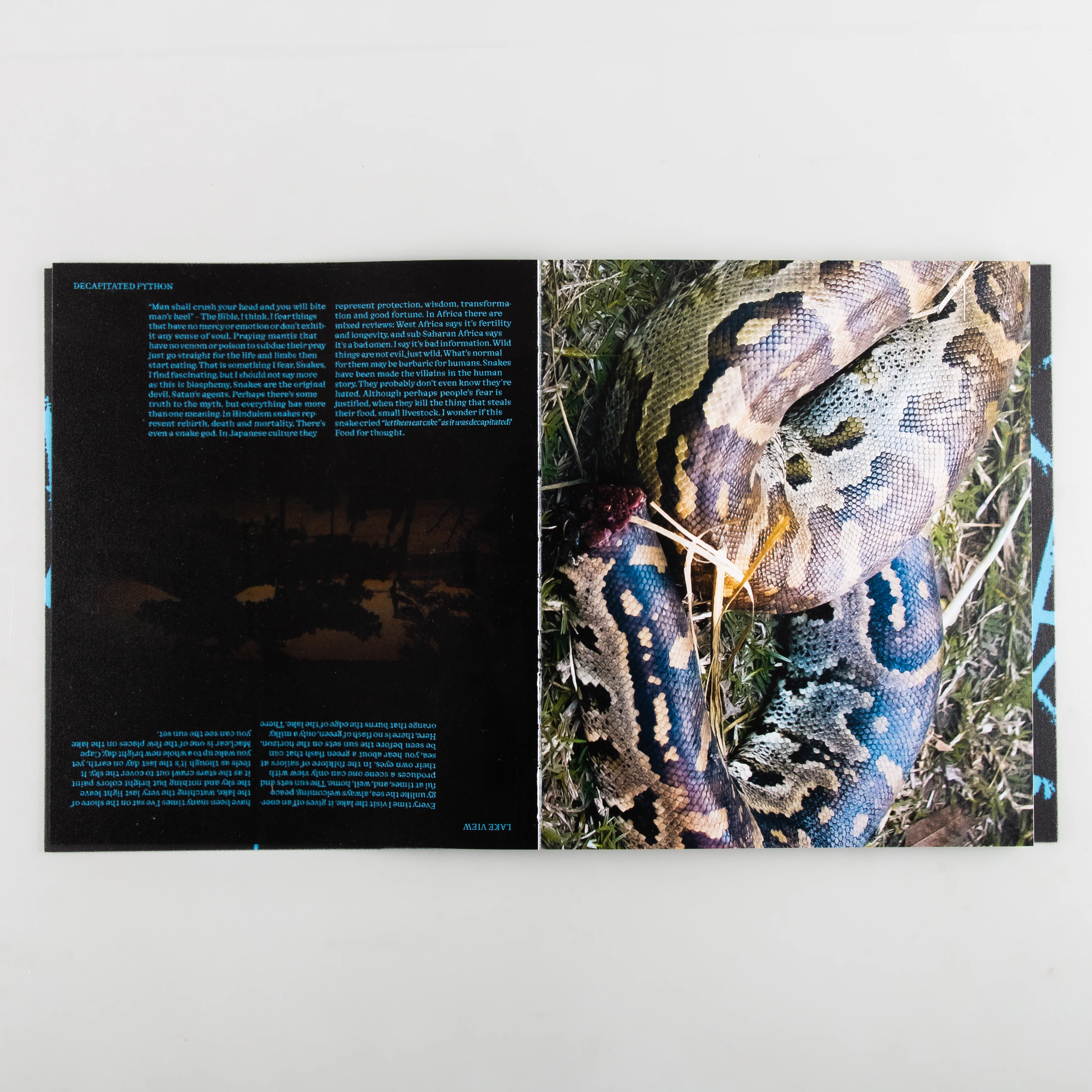 DISMANTLE - Image 6