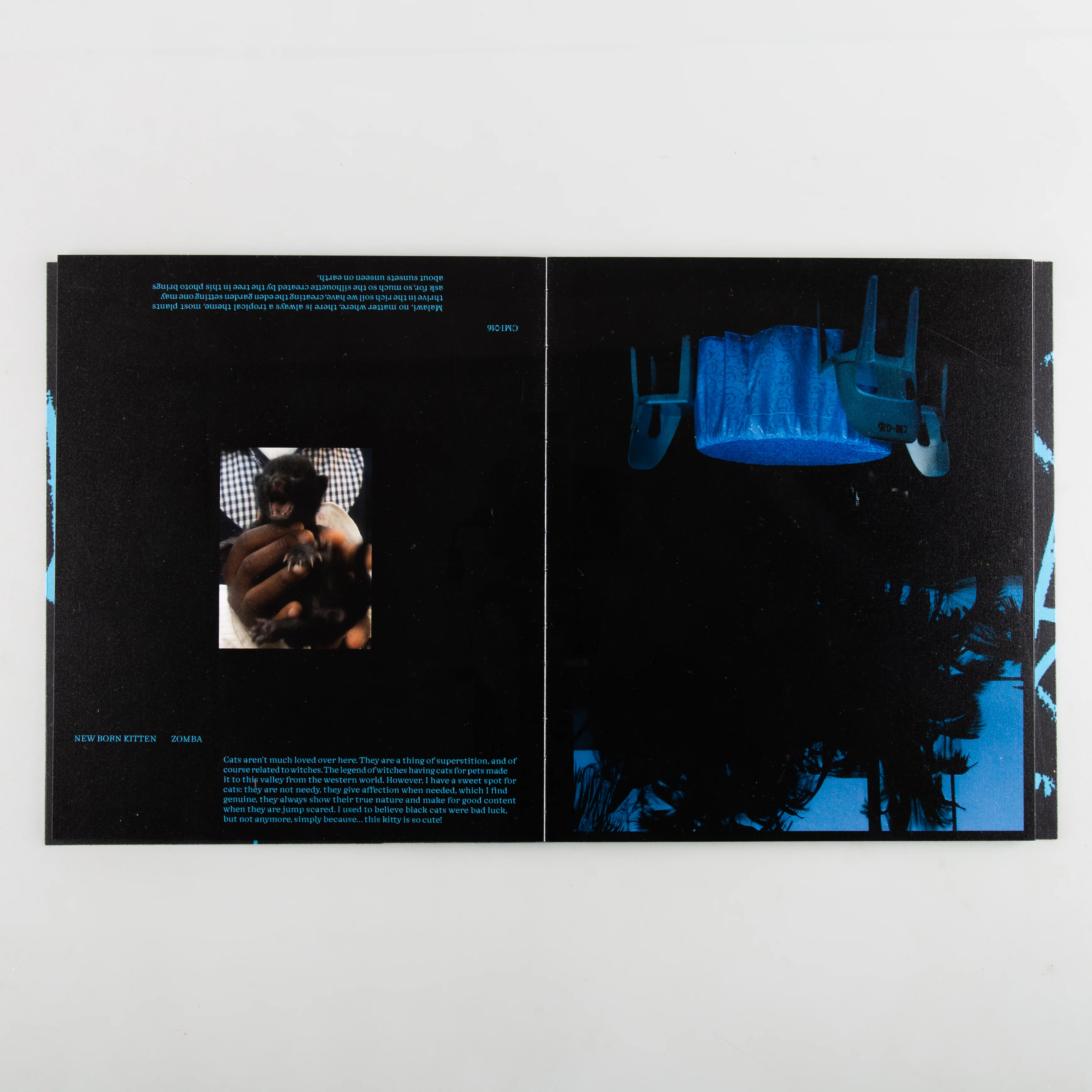 DISMANTLE - Image 7