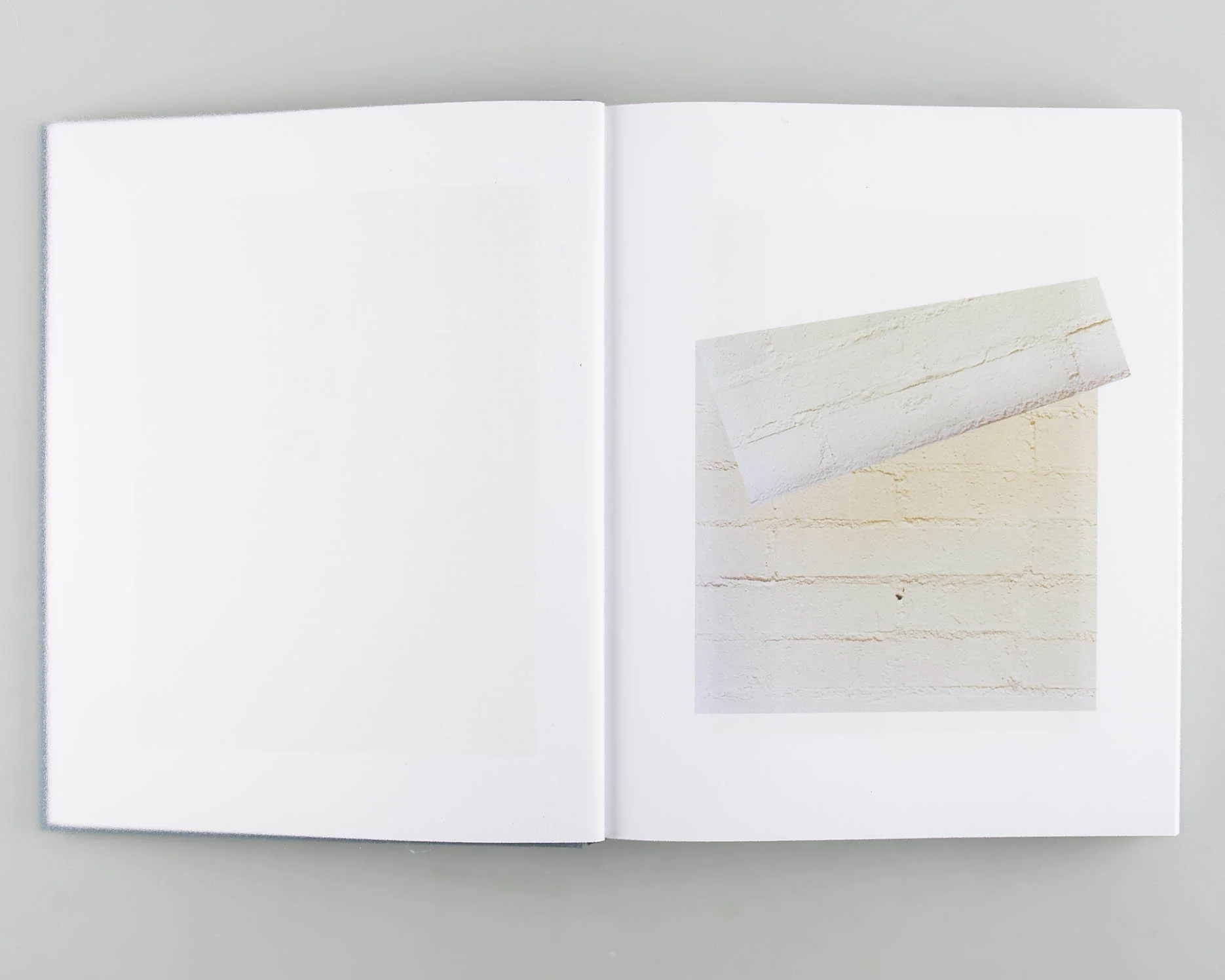 Distribution (Signed) - Image 7
