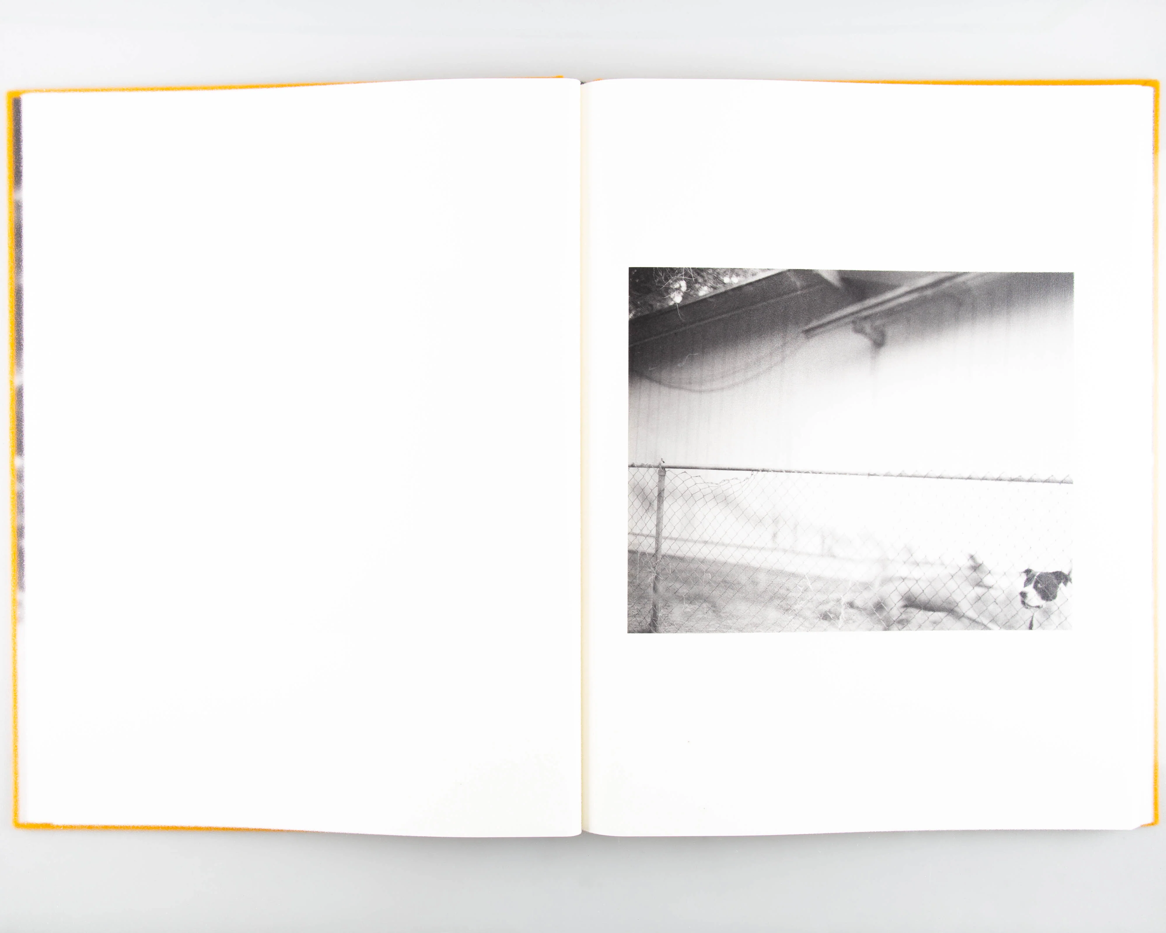 Dogbreath (Signed) - Image 3