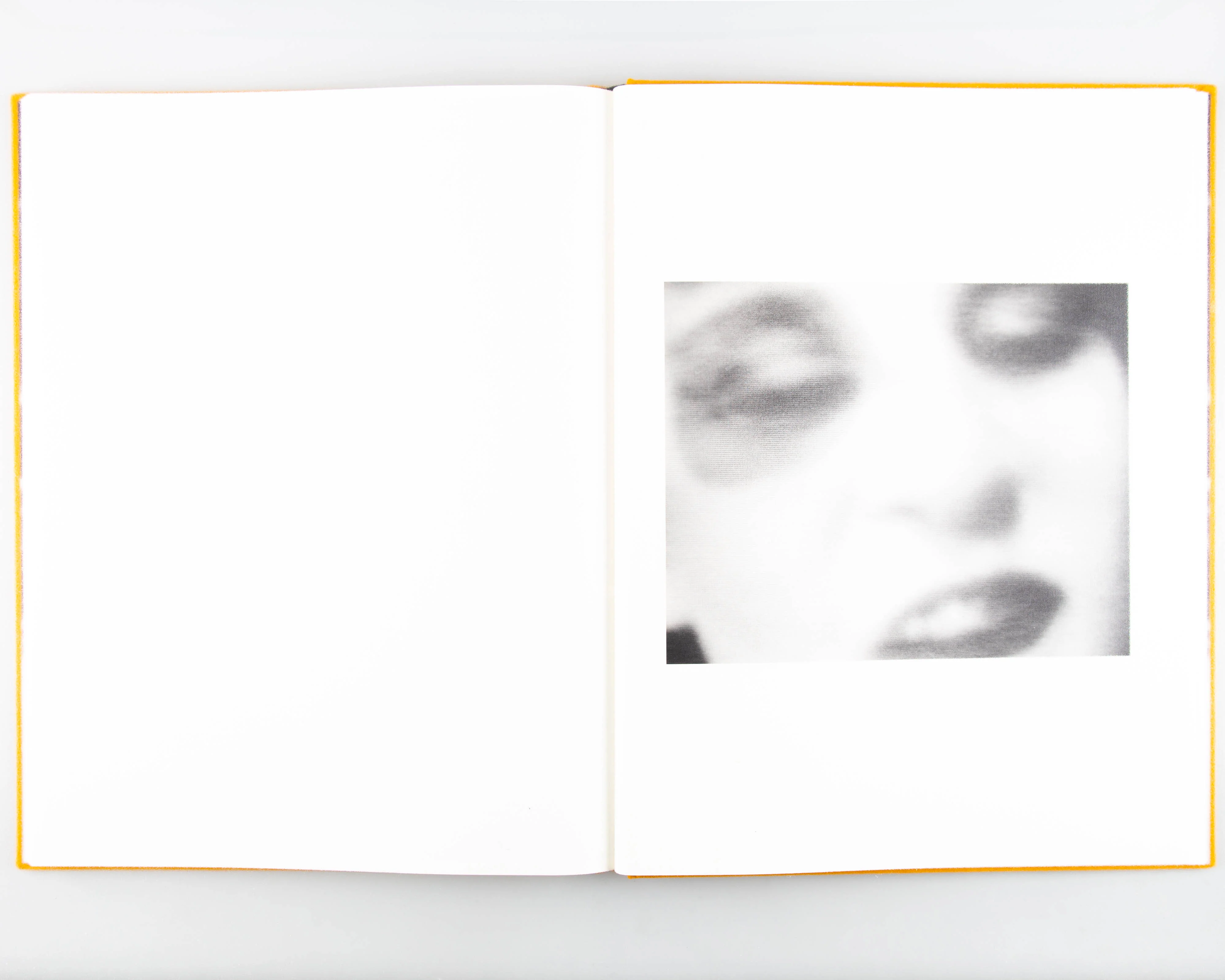 Dogbreath (Signed) - Image 7