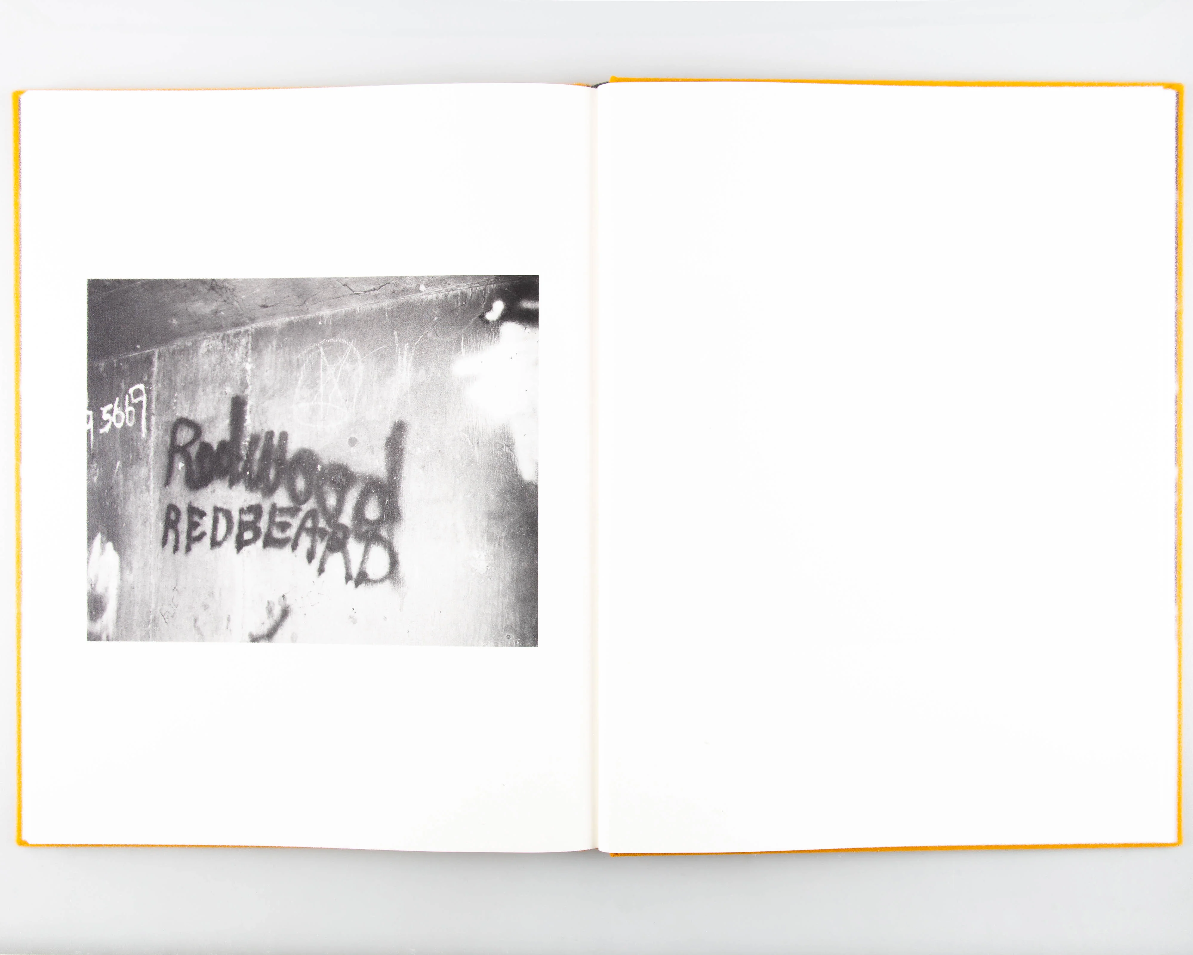 Dogbreath (Signed) - Image 8