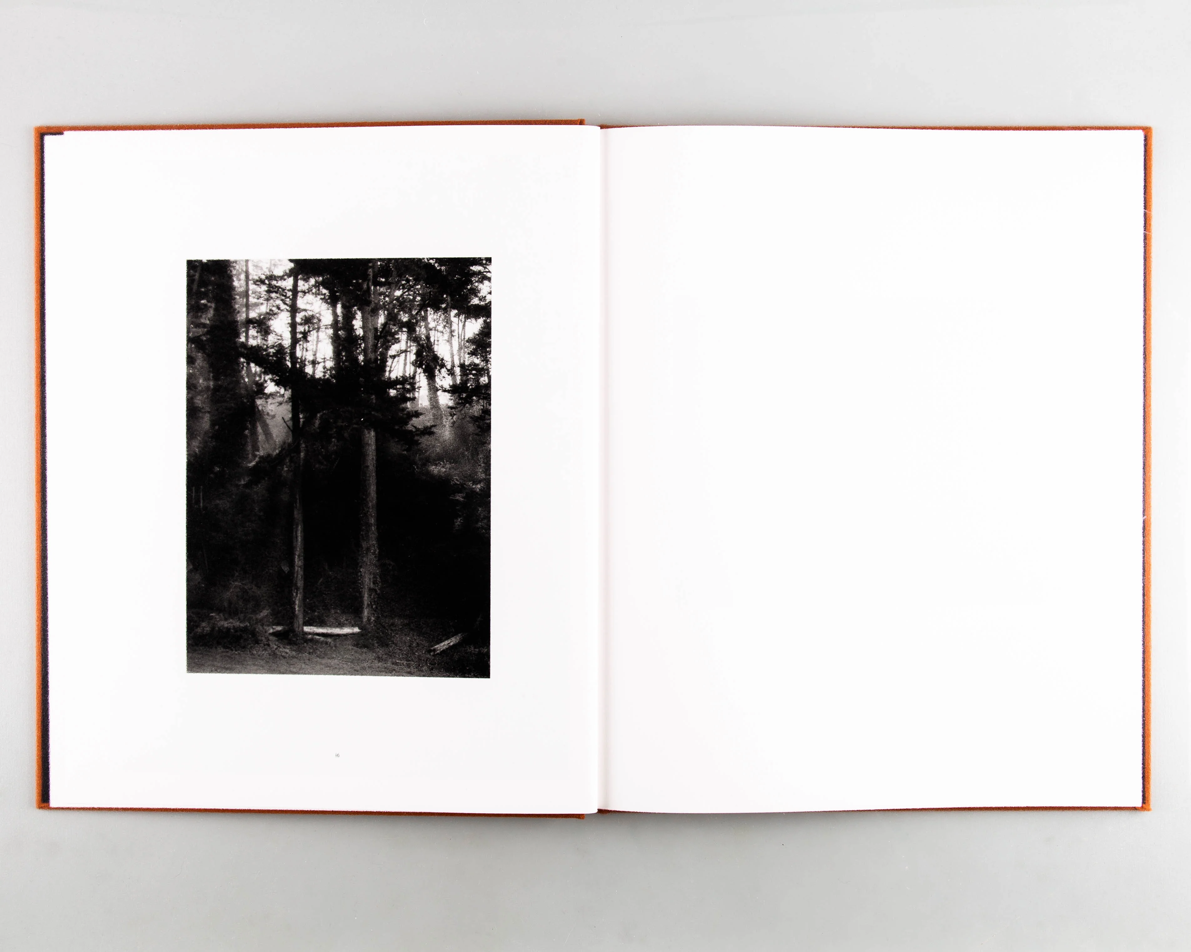 Doldrums - Image 3