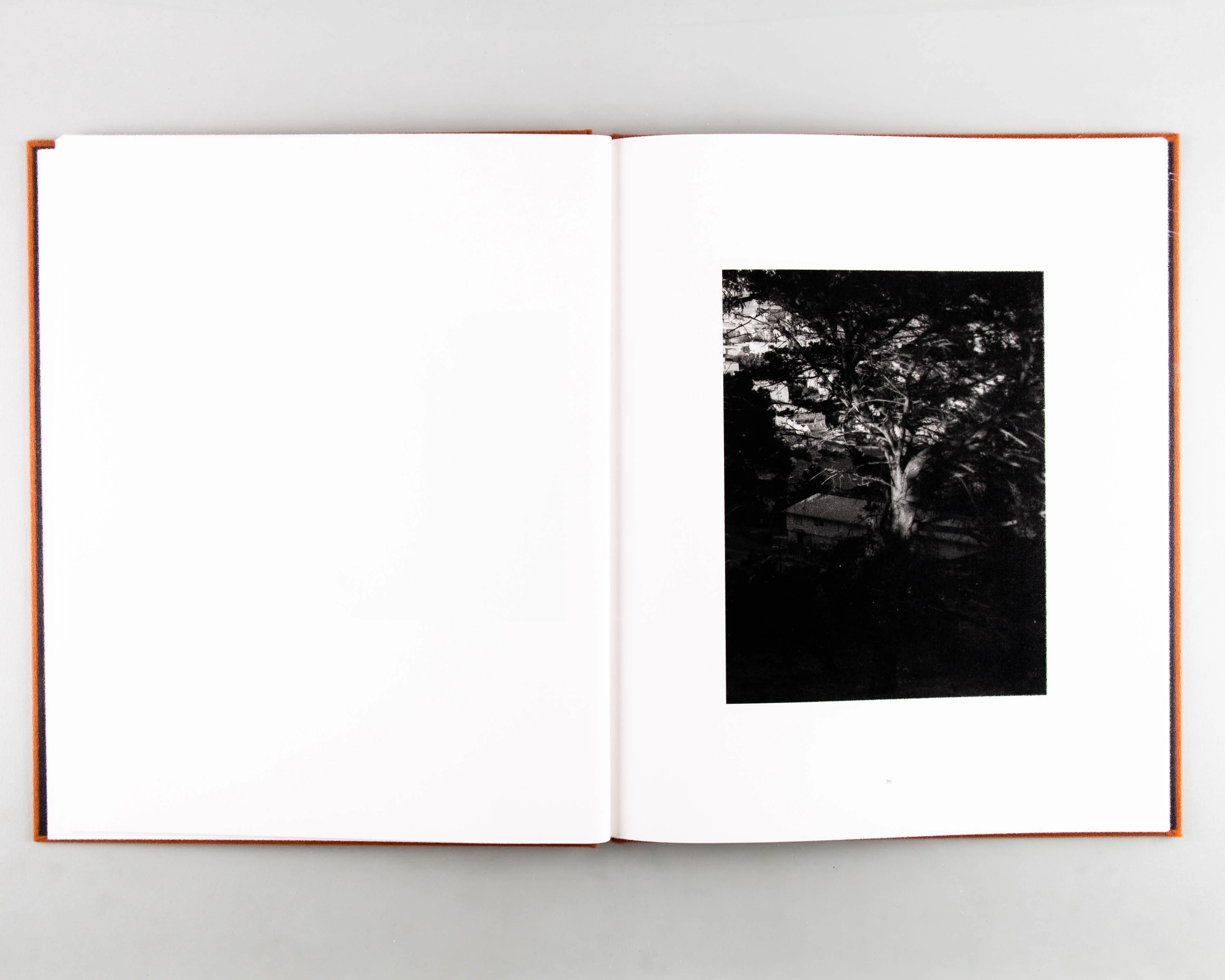 Doldrums - Image 5