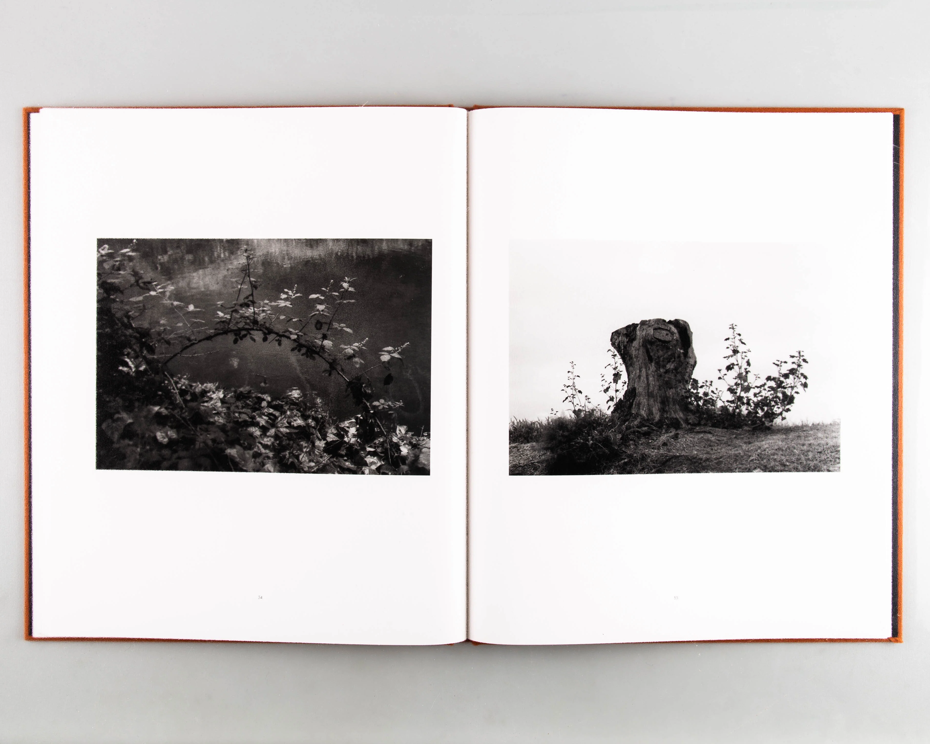 Doldrums - Image 8