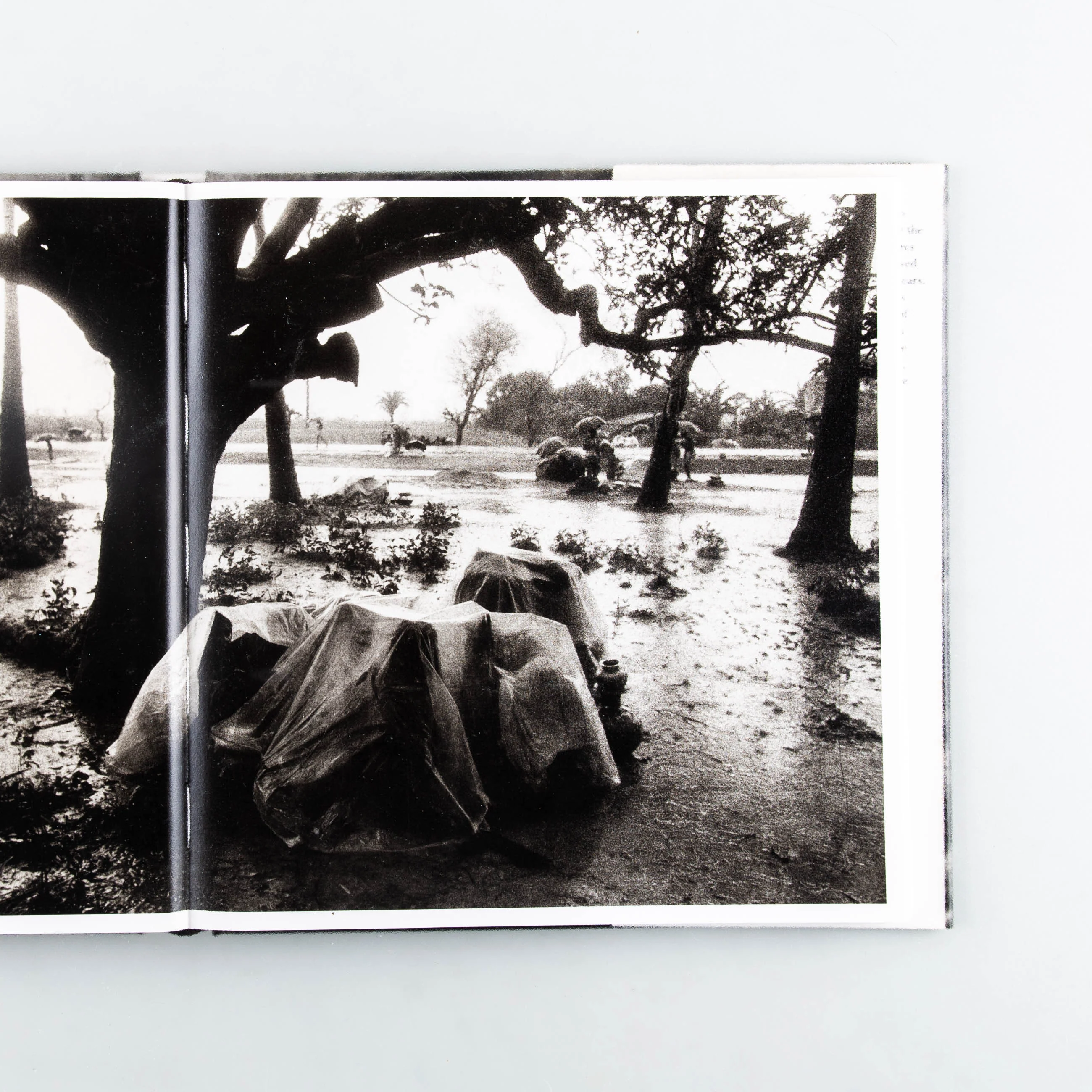 Don McCullin - Image 5