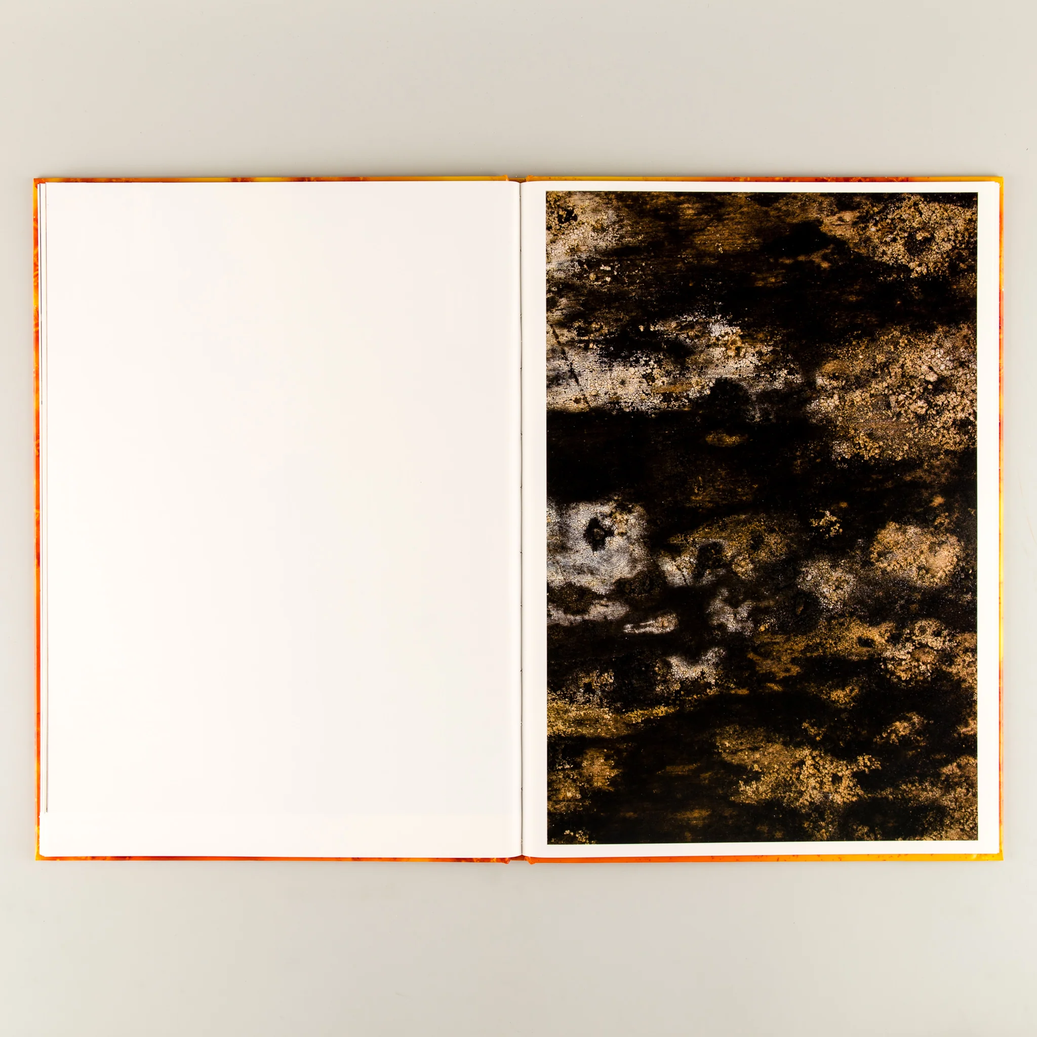 Dots, Fungus, Crystals & Moonlight - Image 7