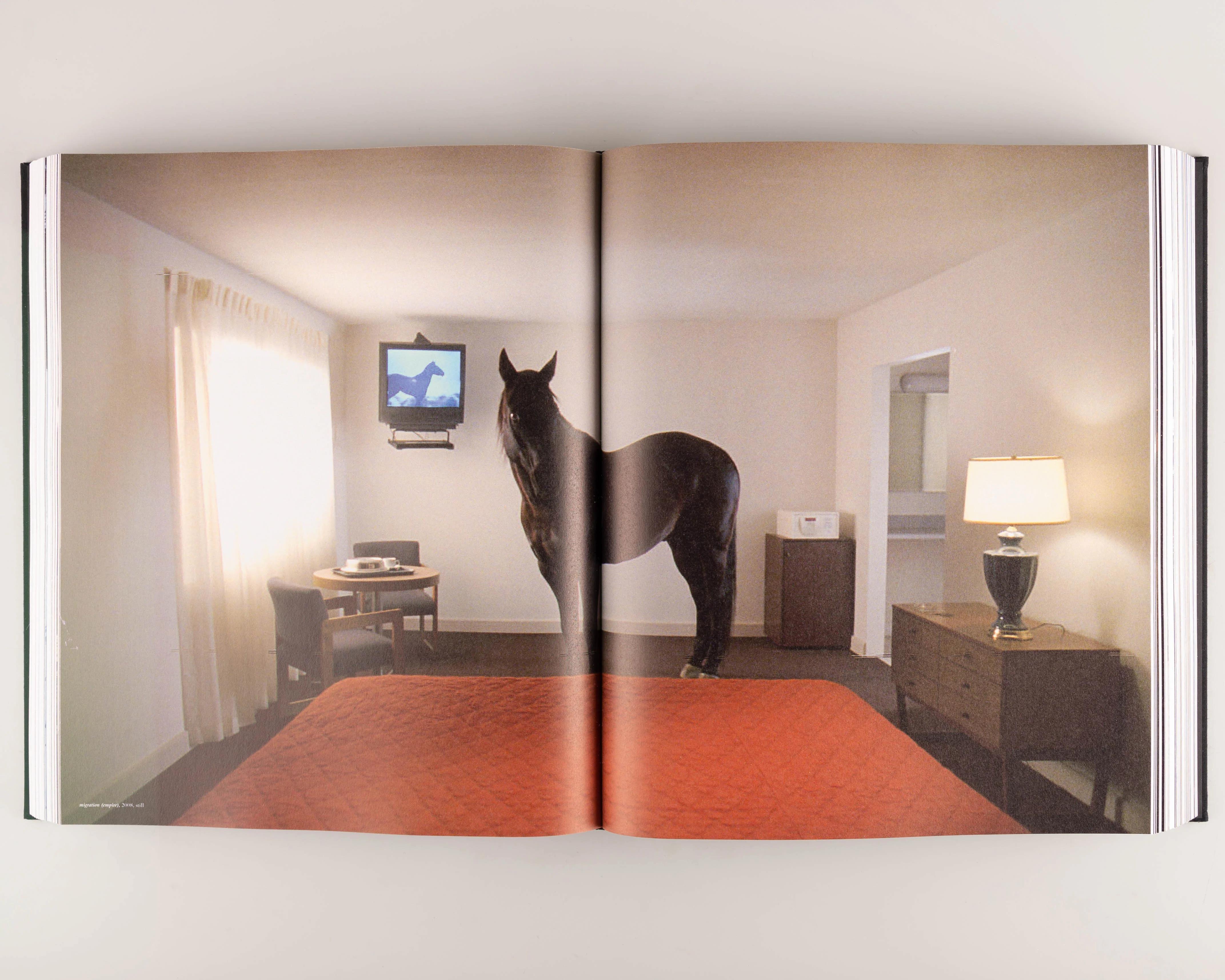 Doug Aitken - Image 5