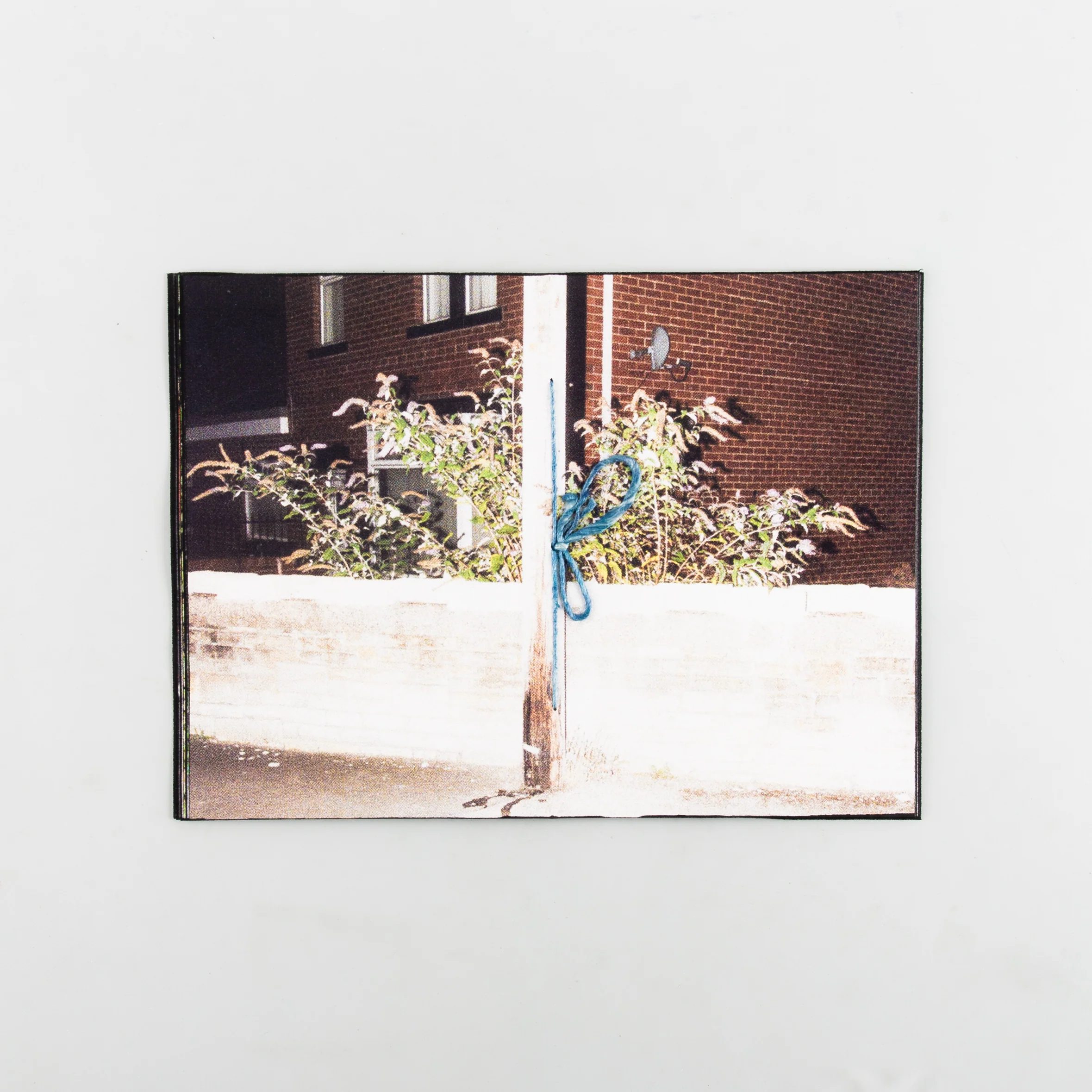 Down With The Sun. - Image 4