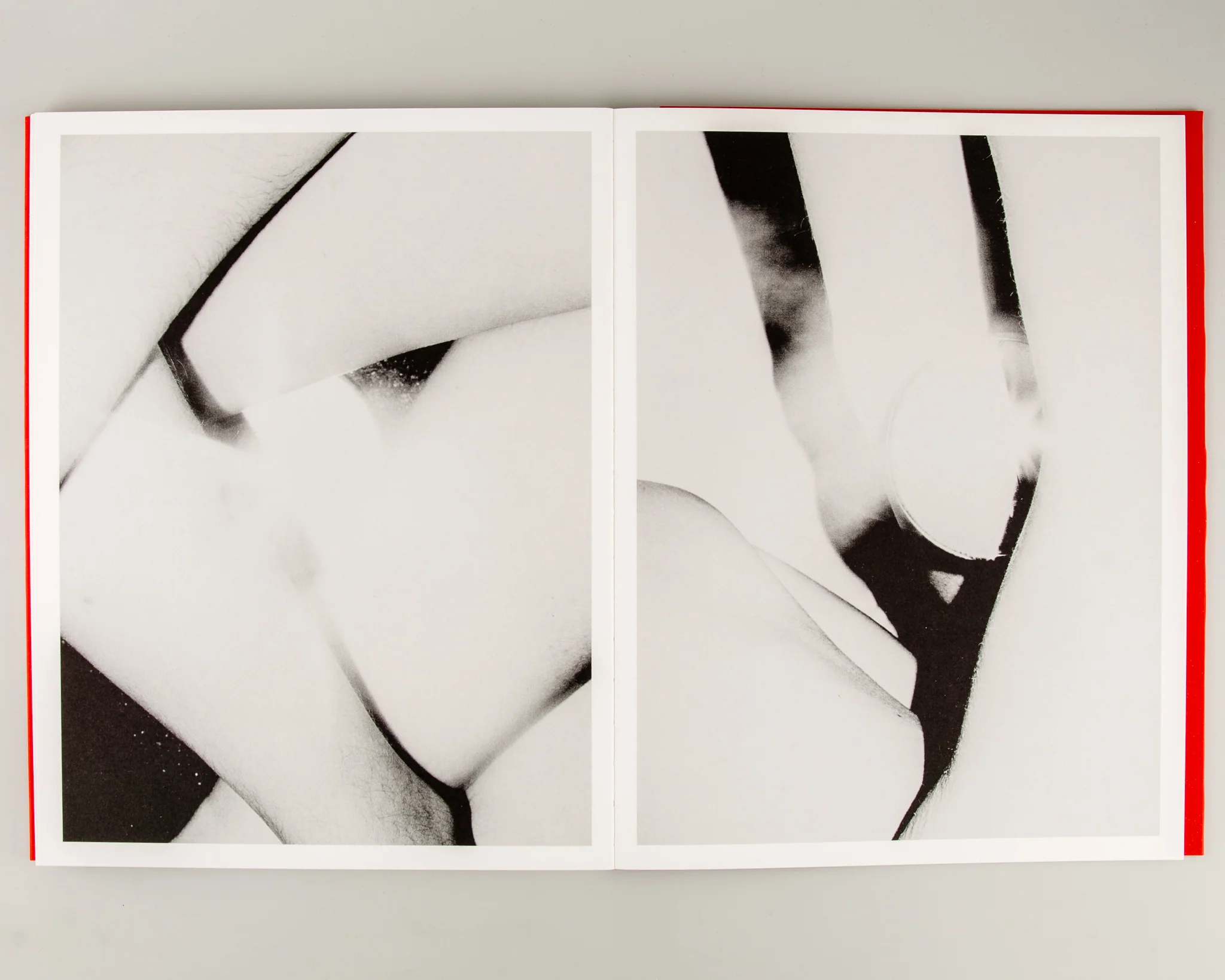 Dream Moons - Image 9