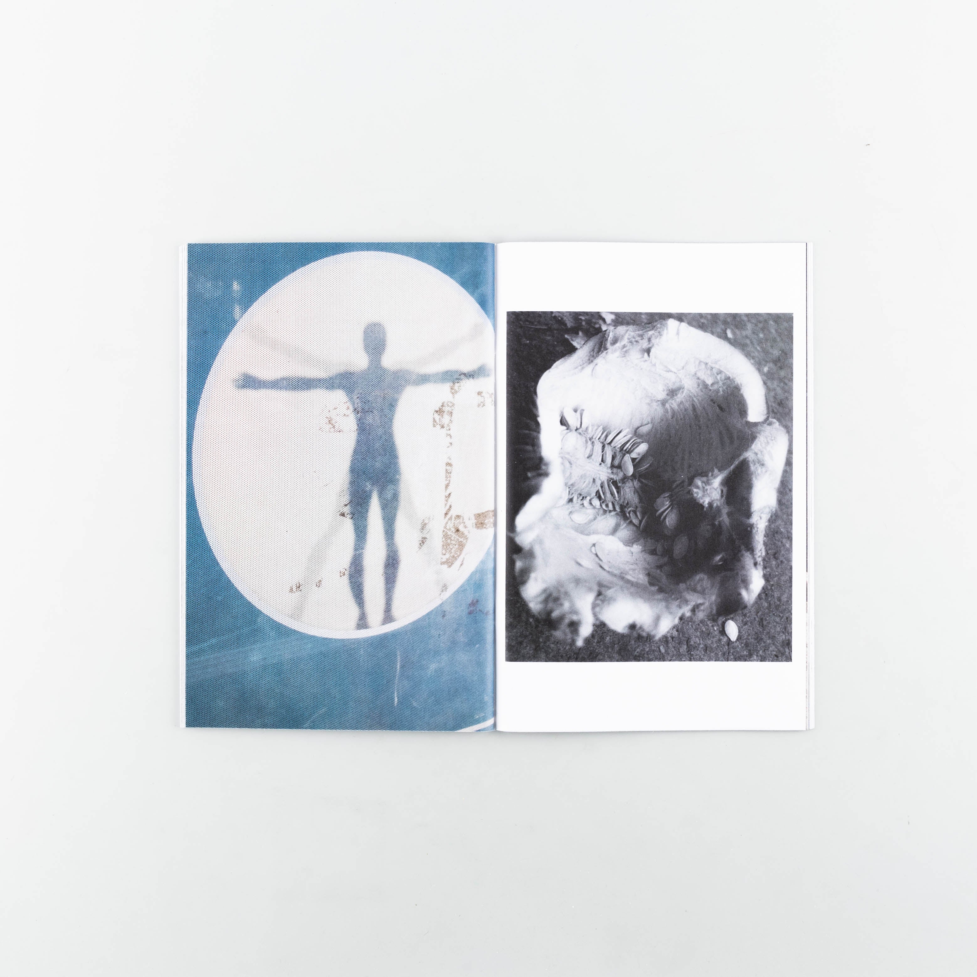 Dull and Wicked - Image 4