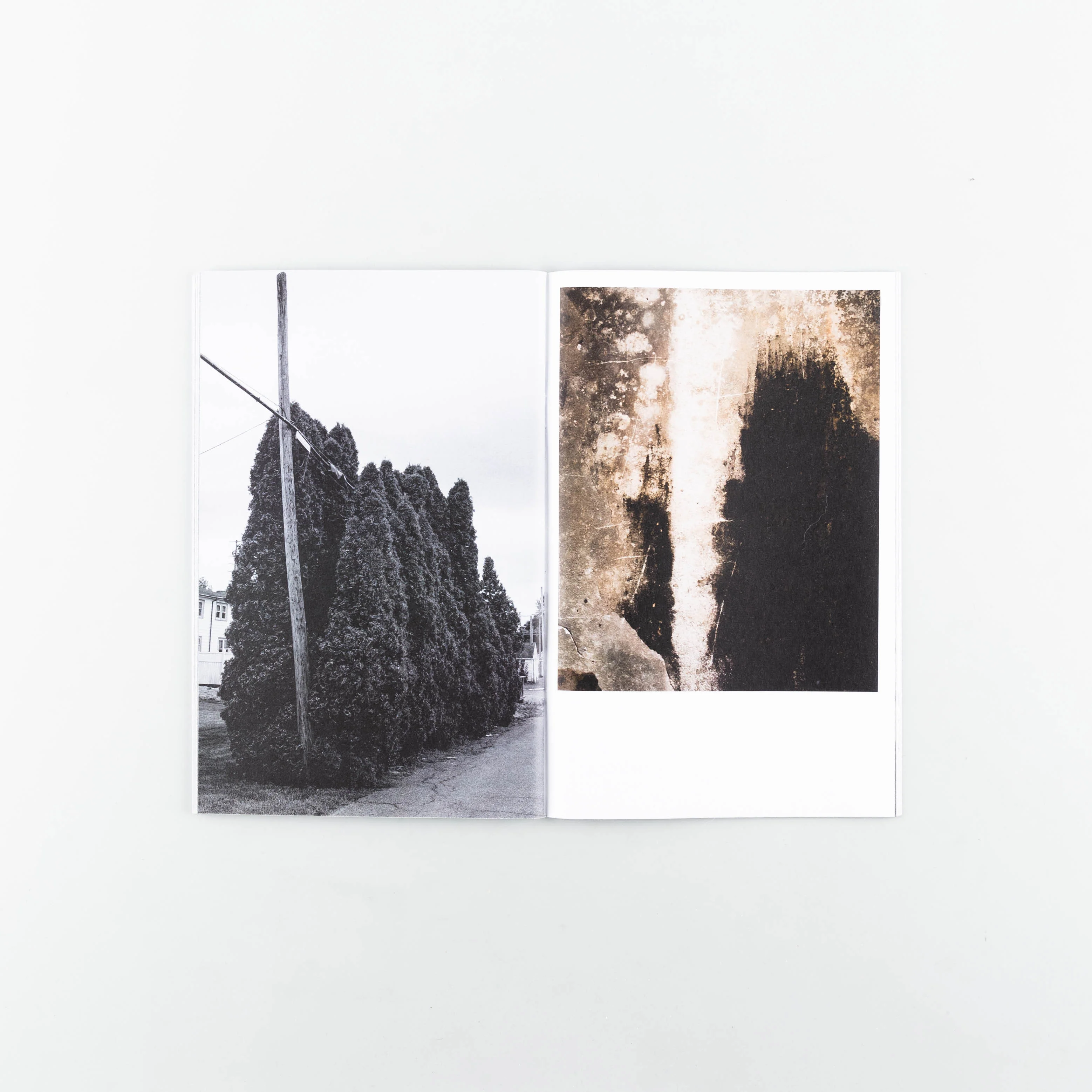 Dull and Wicked - Image 6