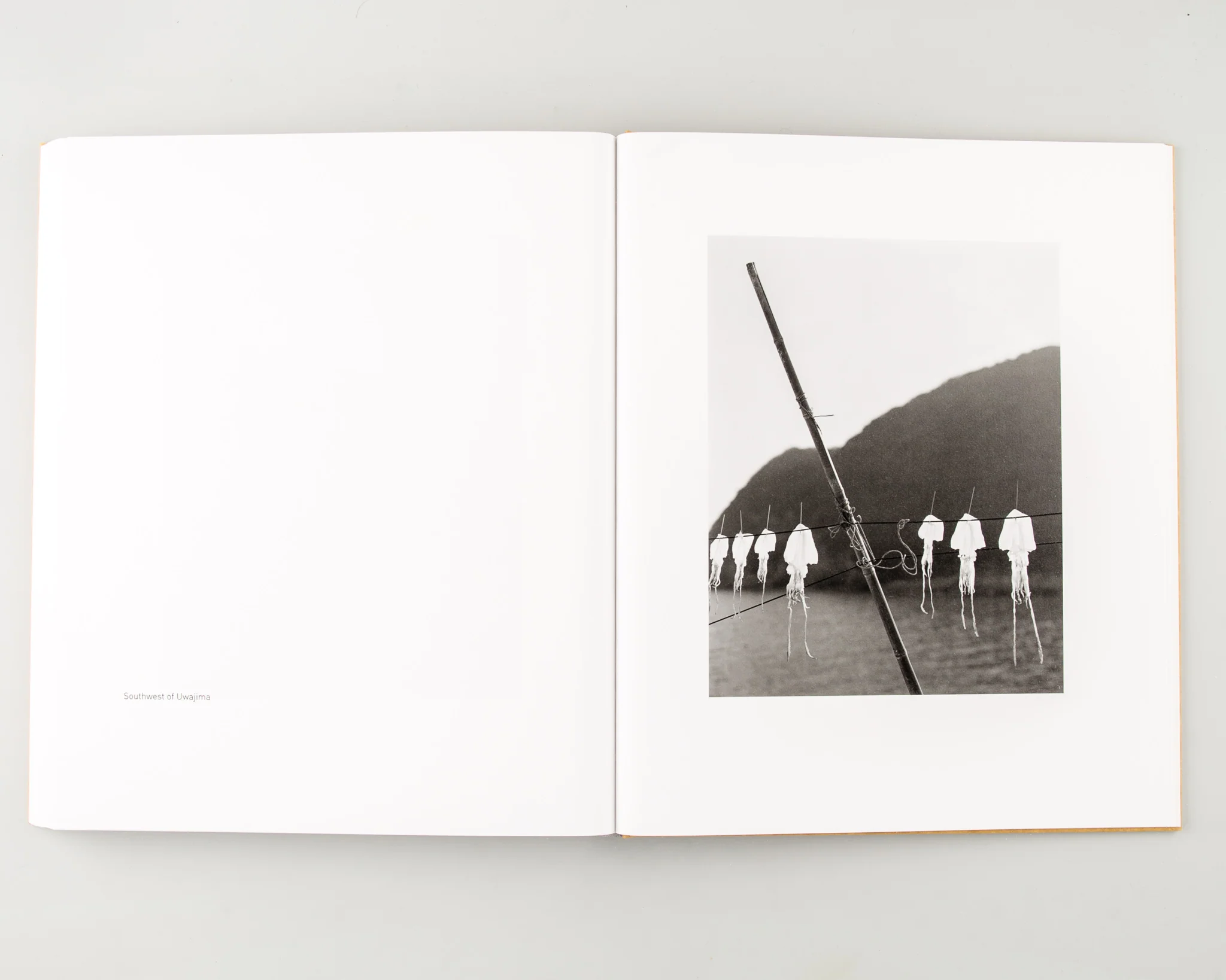 Ehime (Signed) - Image 11