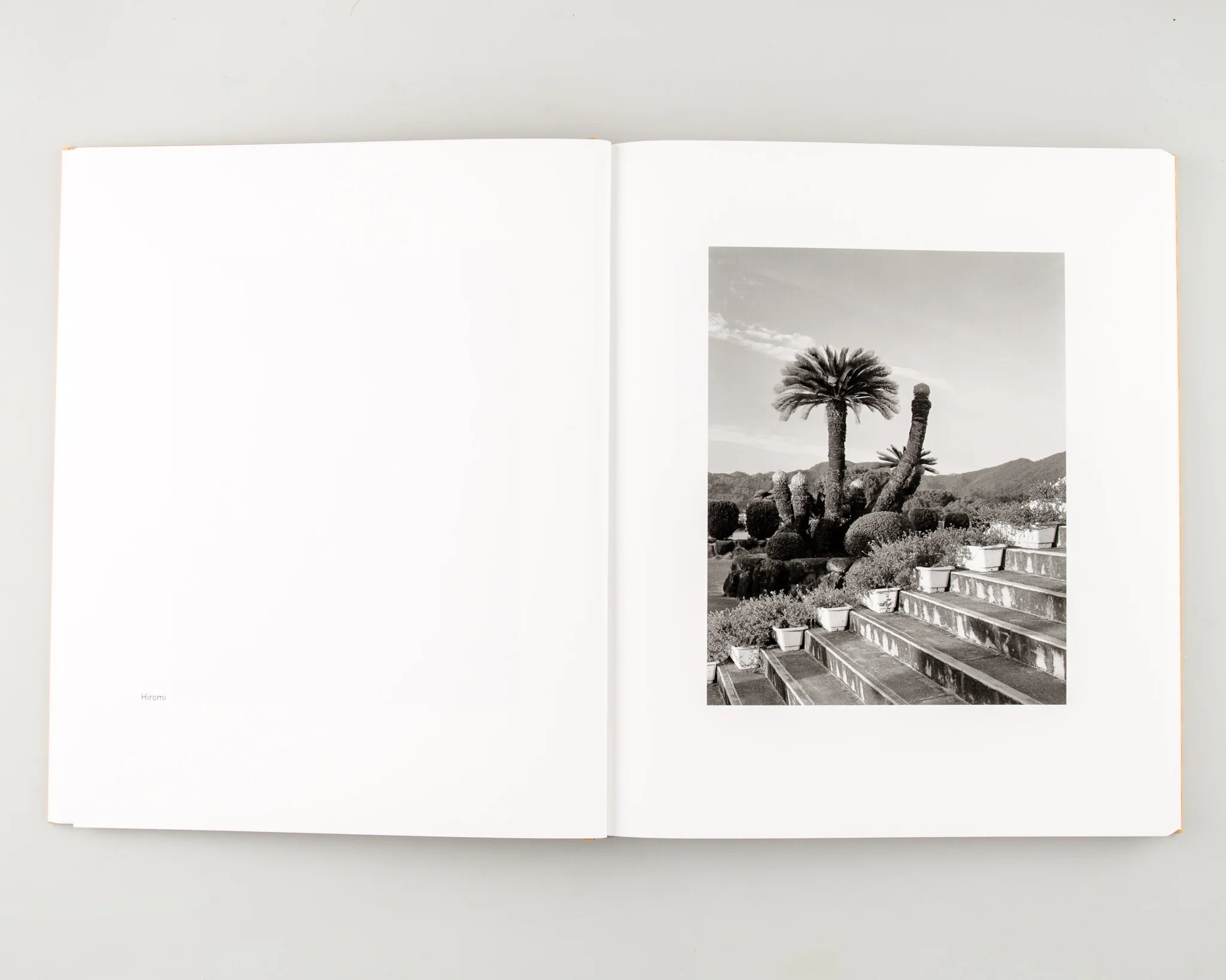 Ehime (Signed) - Image 4
