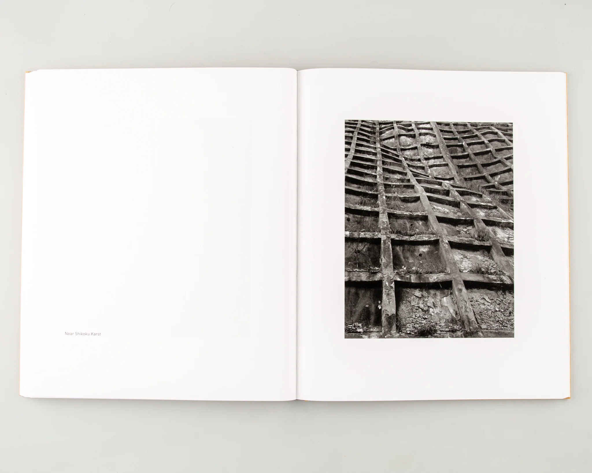 Ehime (Signed) - Image 7