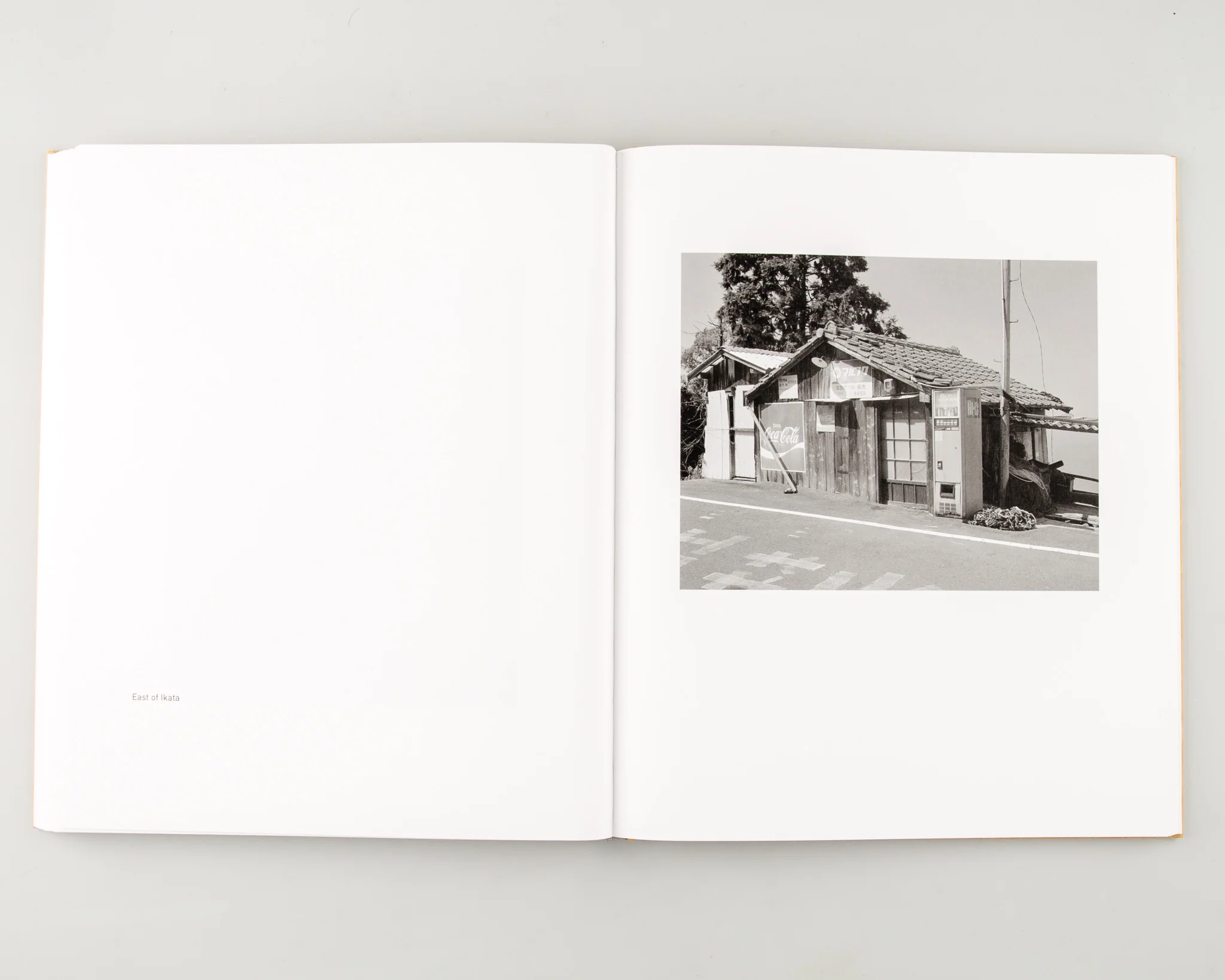 Ehime (Signed) - Image 8