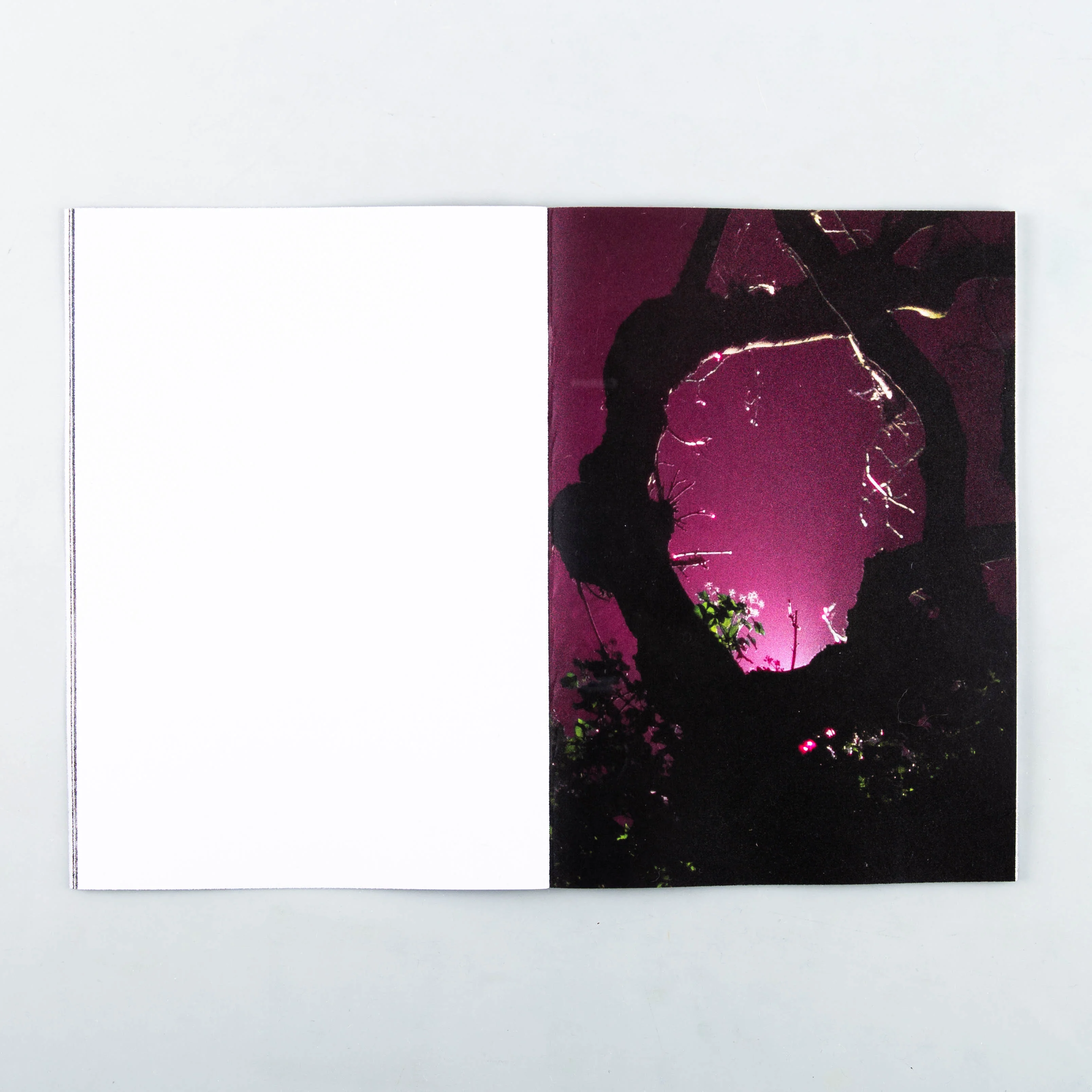 Ethereal Serotonin Climax - Image 2