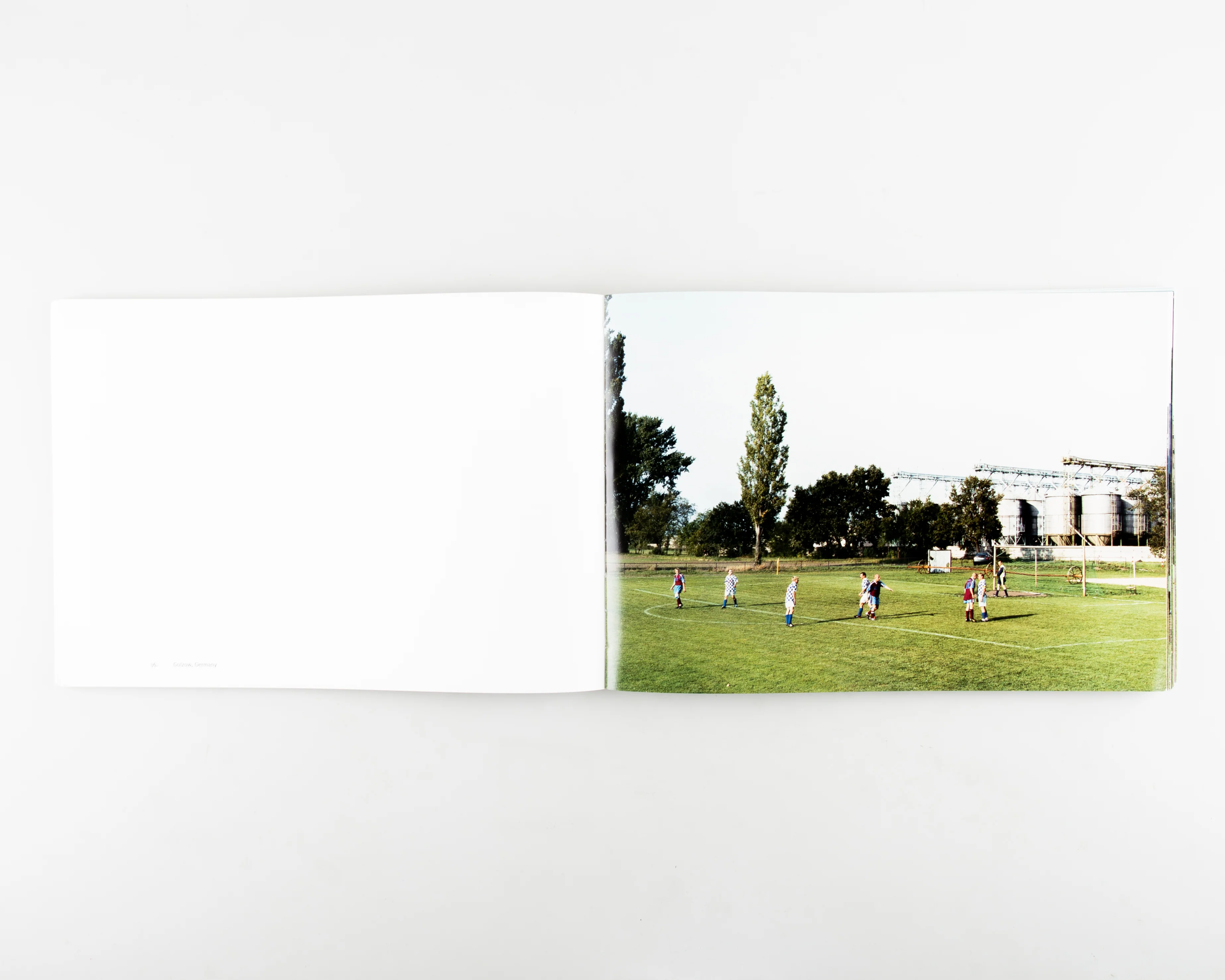 European Fields - Image 3