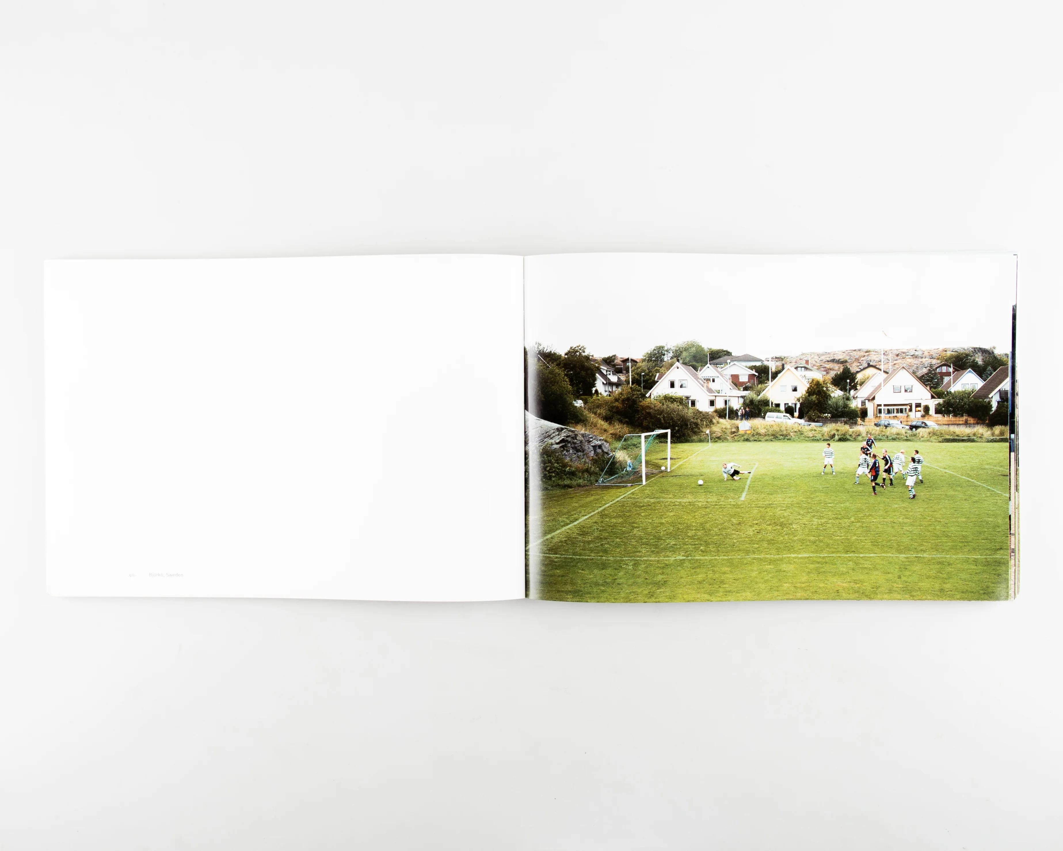 European Fields - Image 4