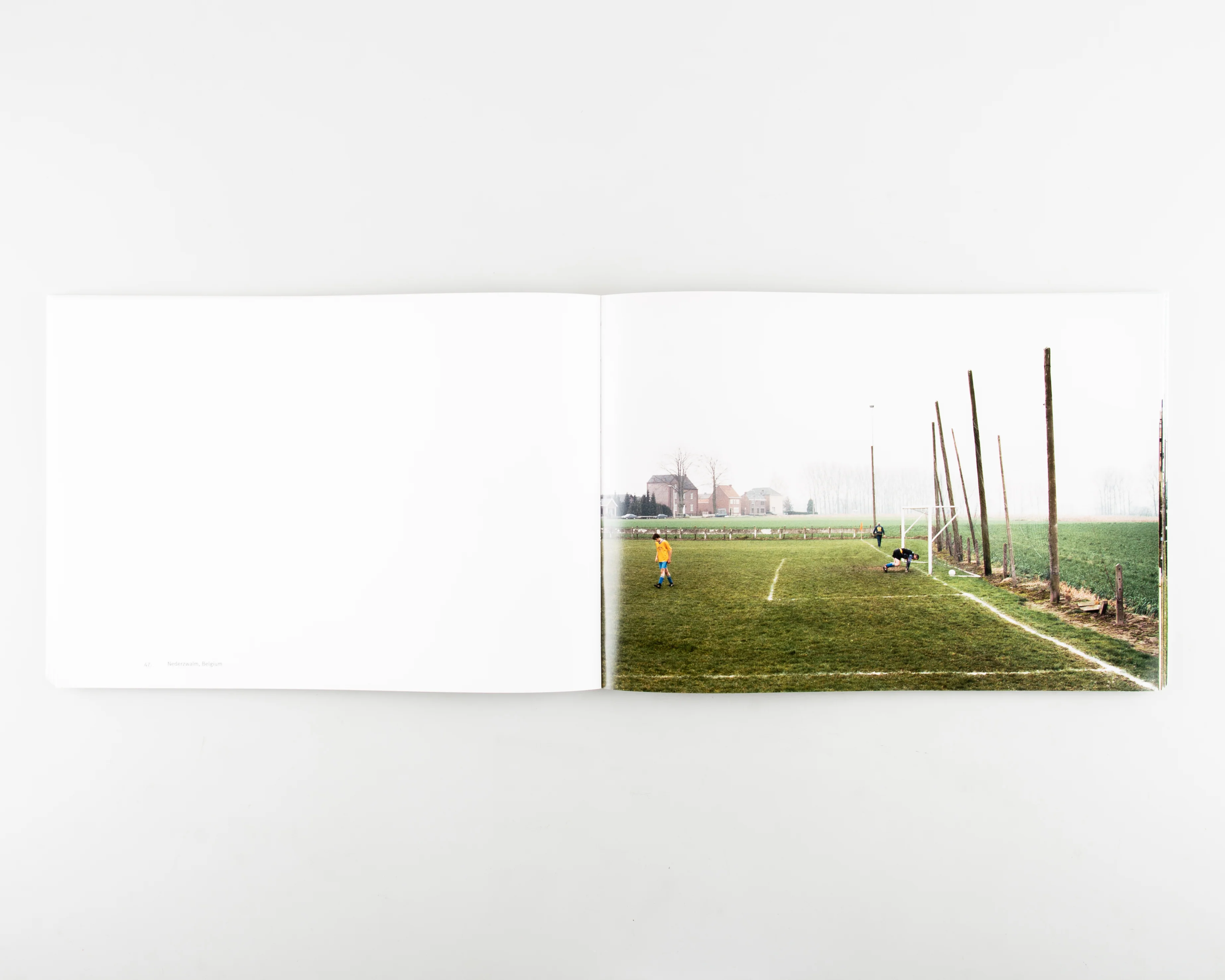 European Fields - Image 8