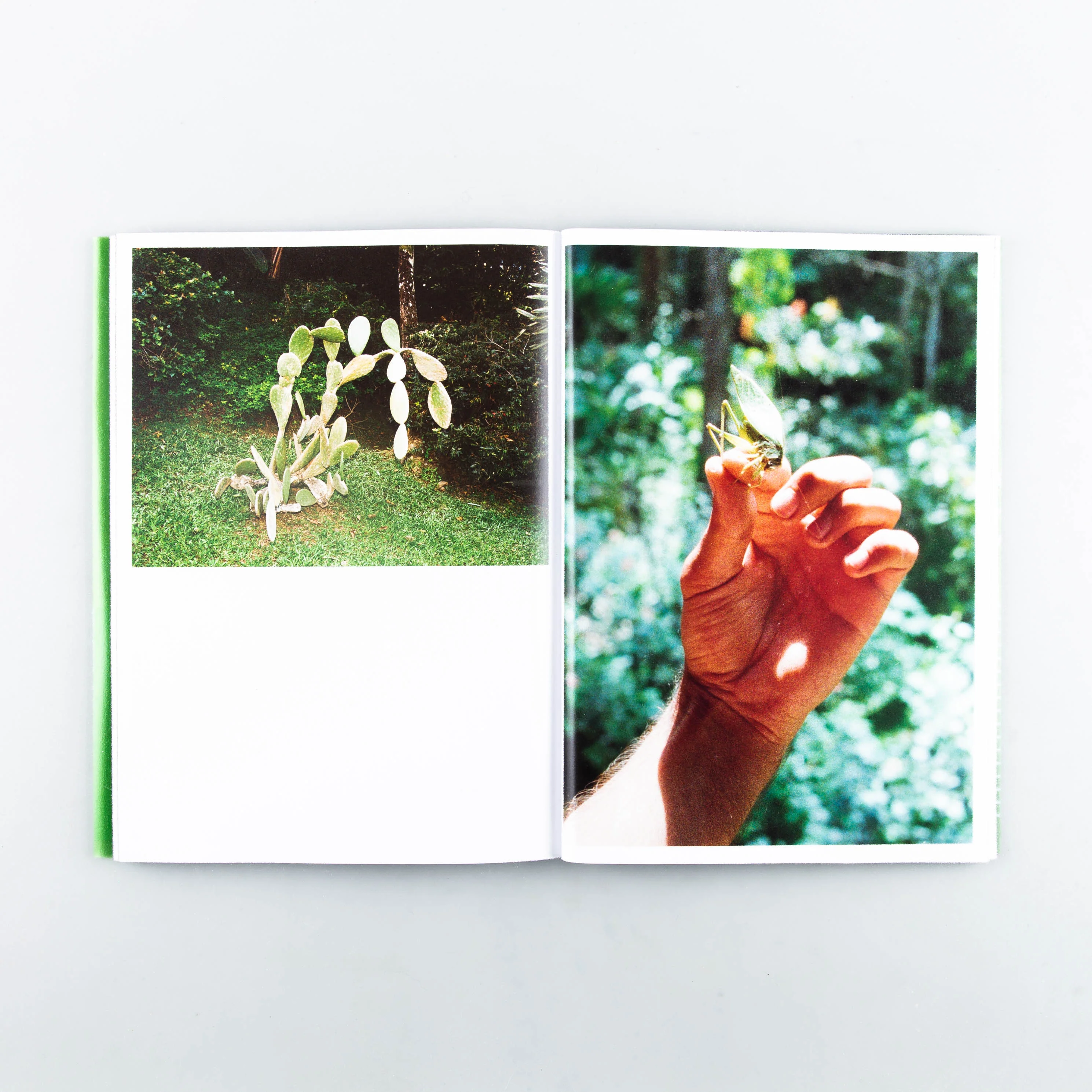 Extra Terrestrial - Image 5
